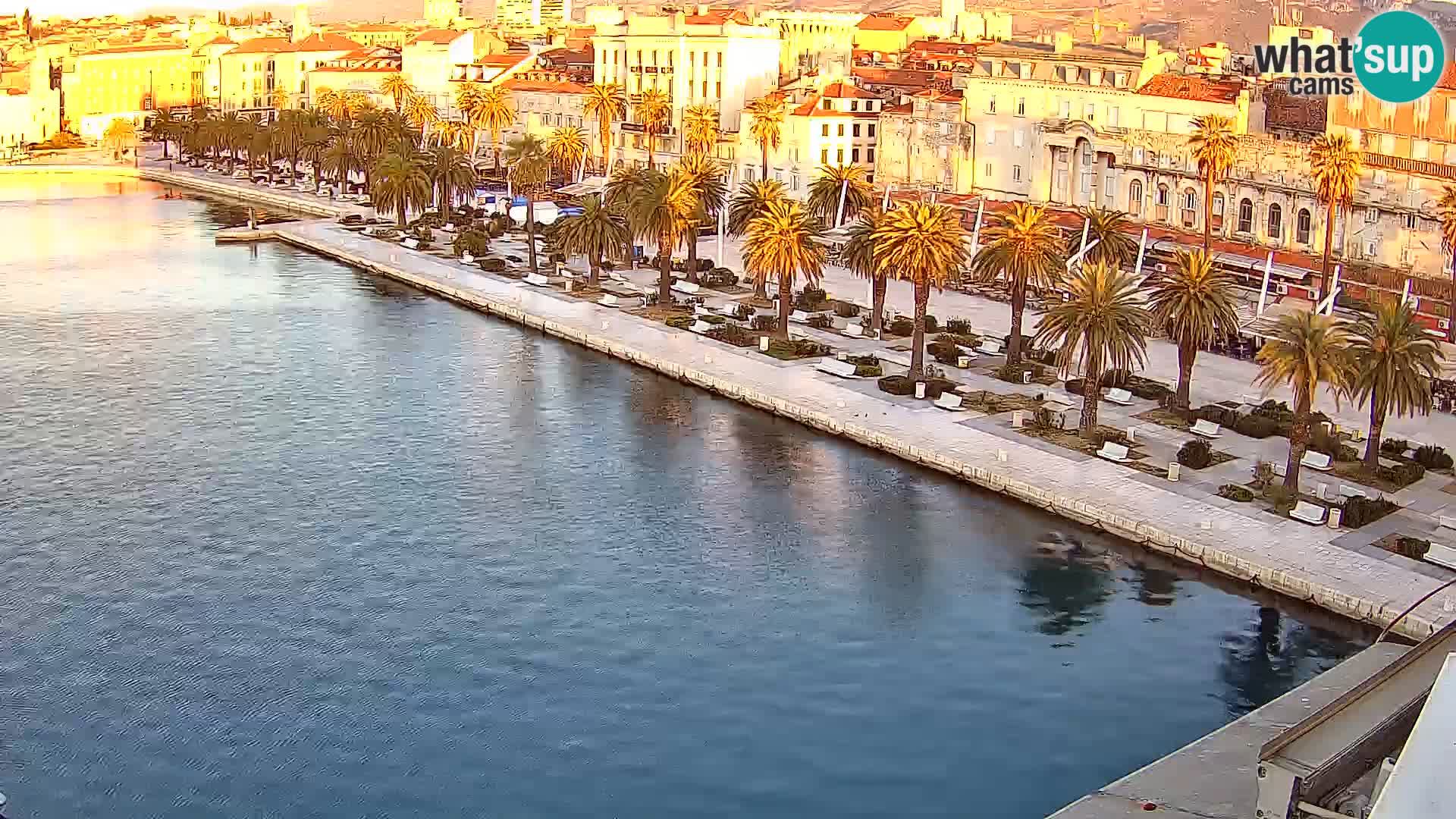 Split v živo panoramska kamera