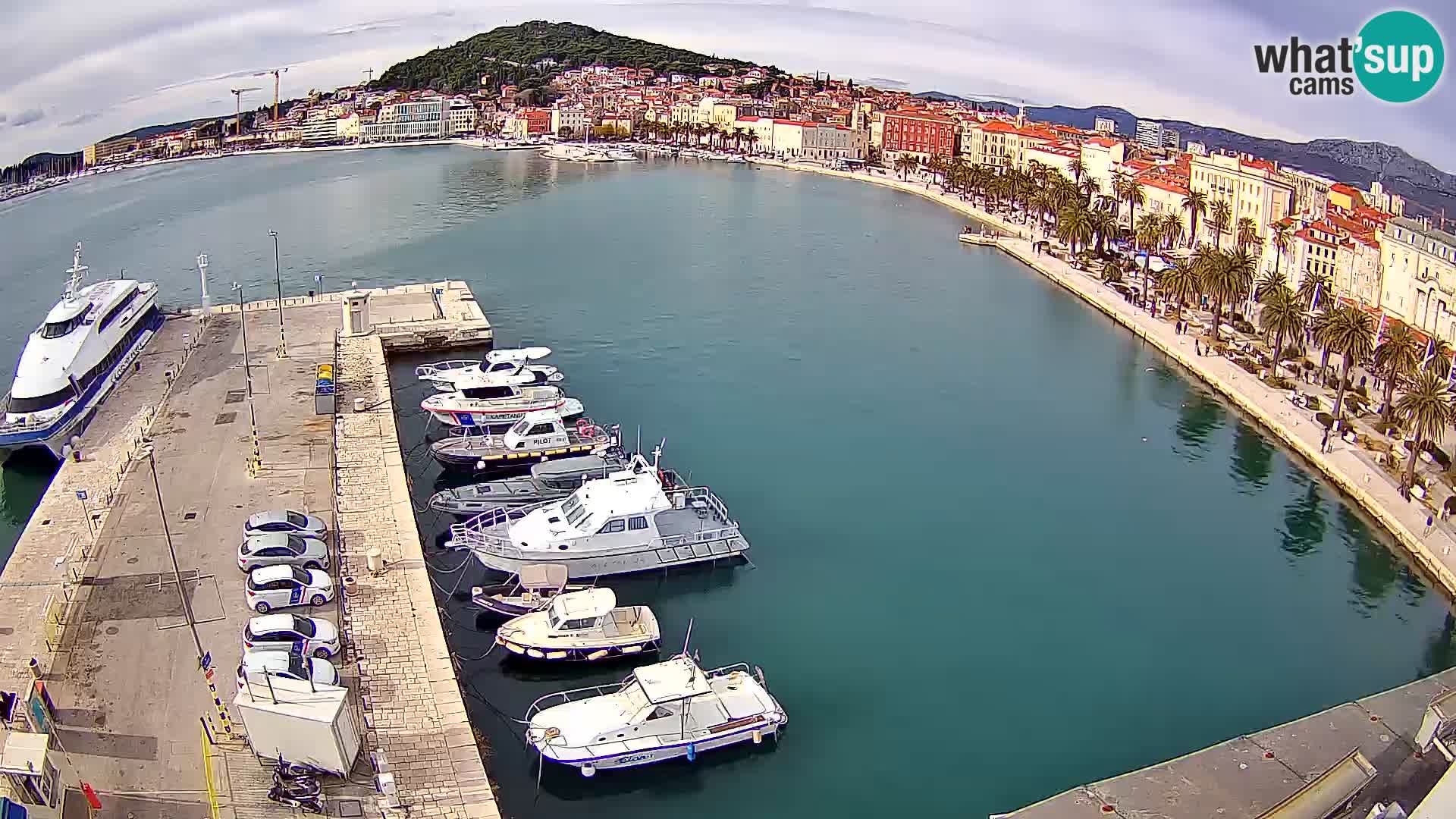 Split panorama en vivo