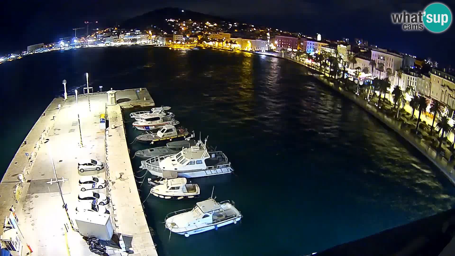 Split v živo panoramska kamera