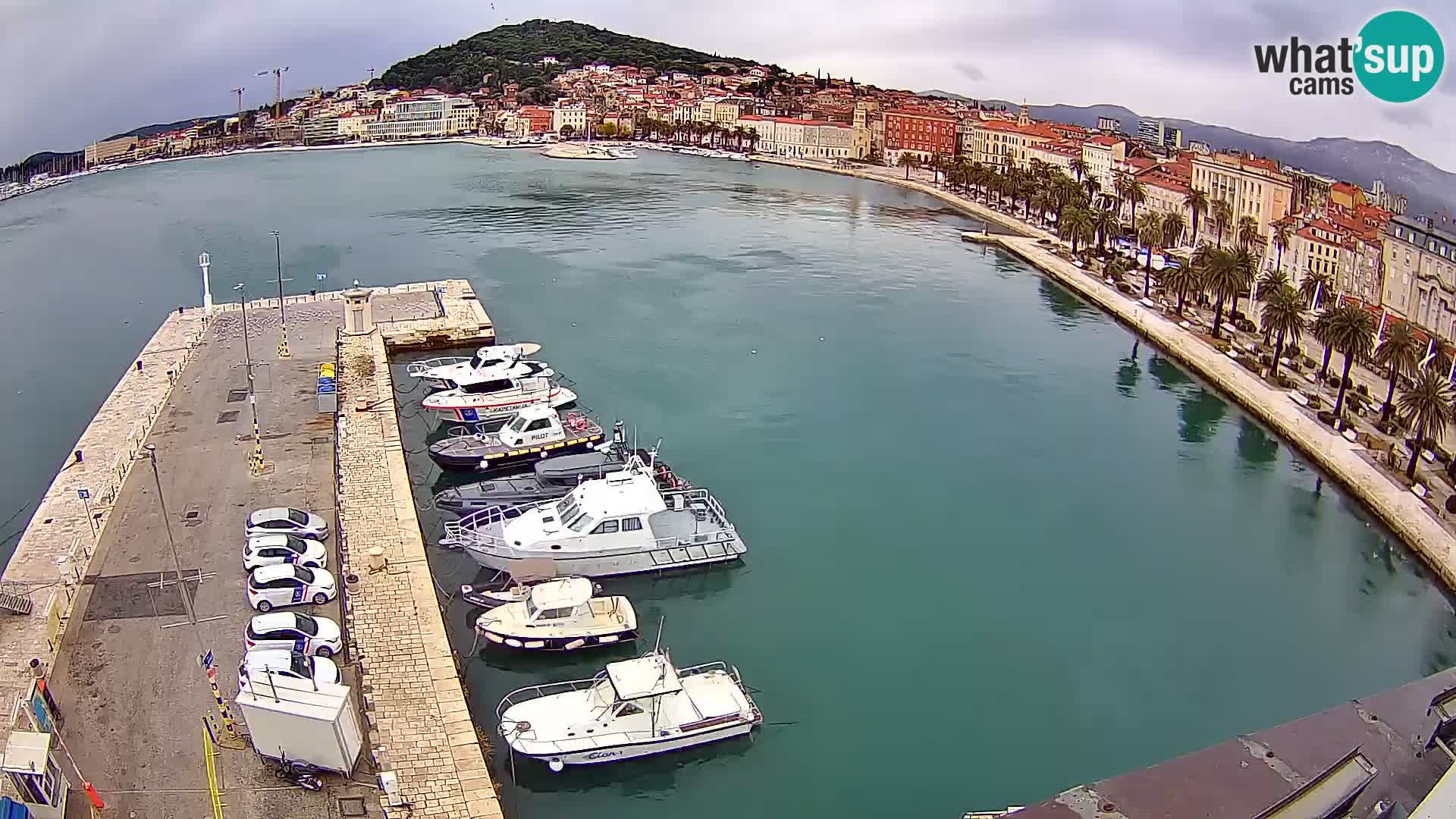 Split livecam panorama