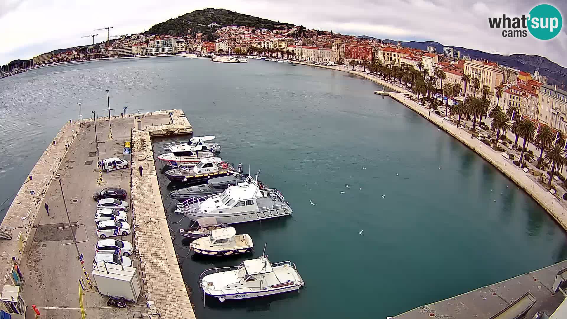 Webcam live Spalato riva e porto