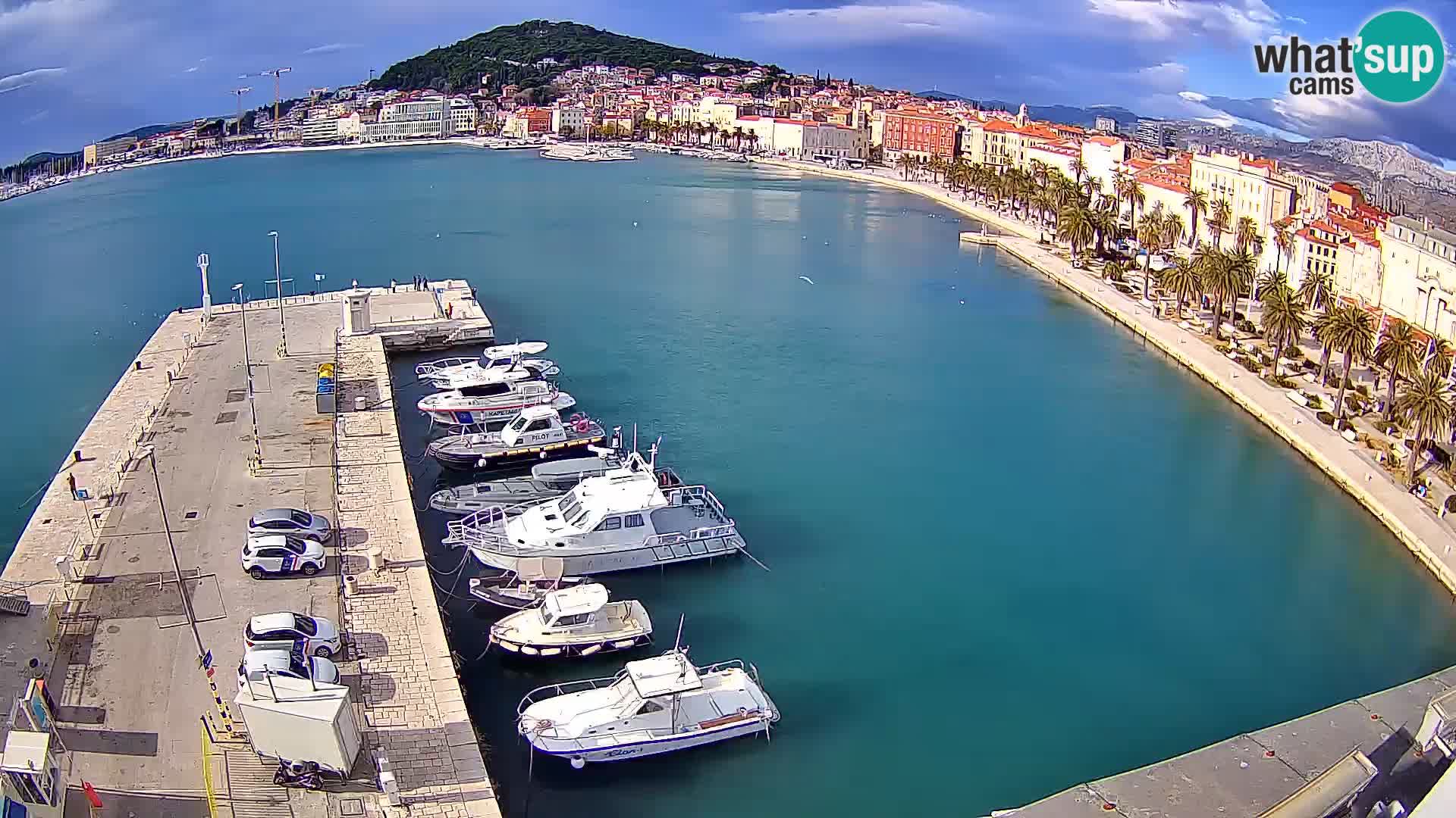 Split livecam panorama