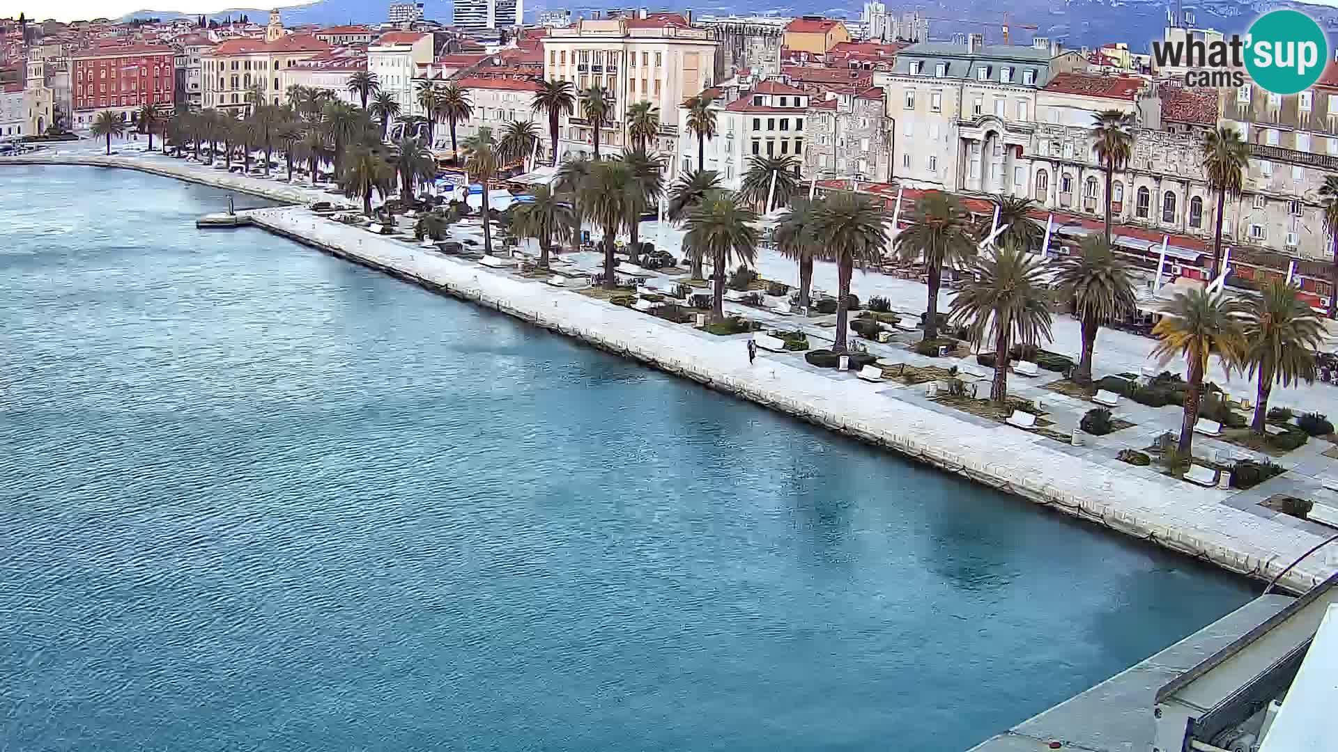 Split livecam panorama