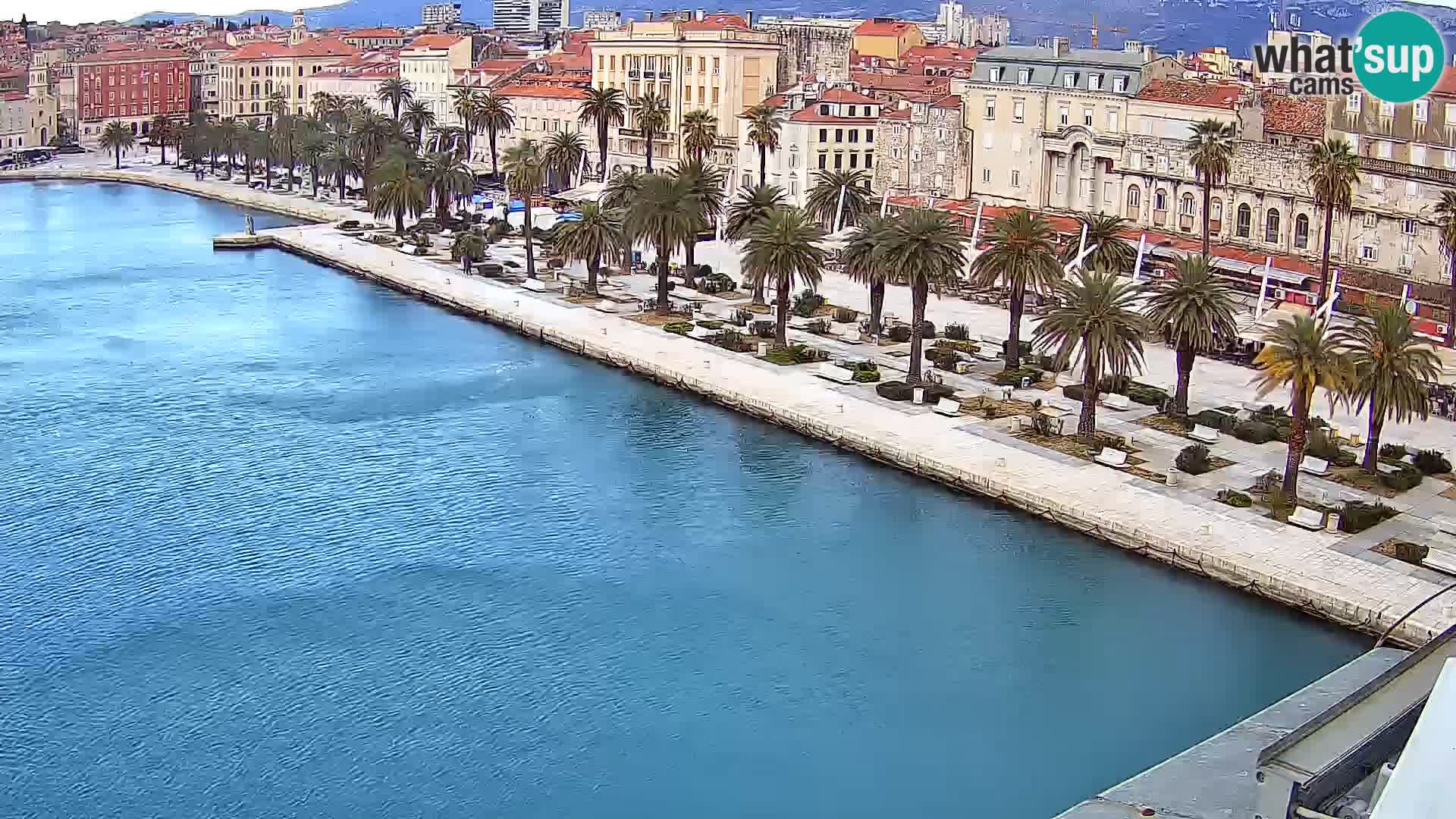 Split v živo panoramska kamera