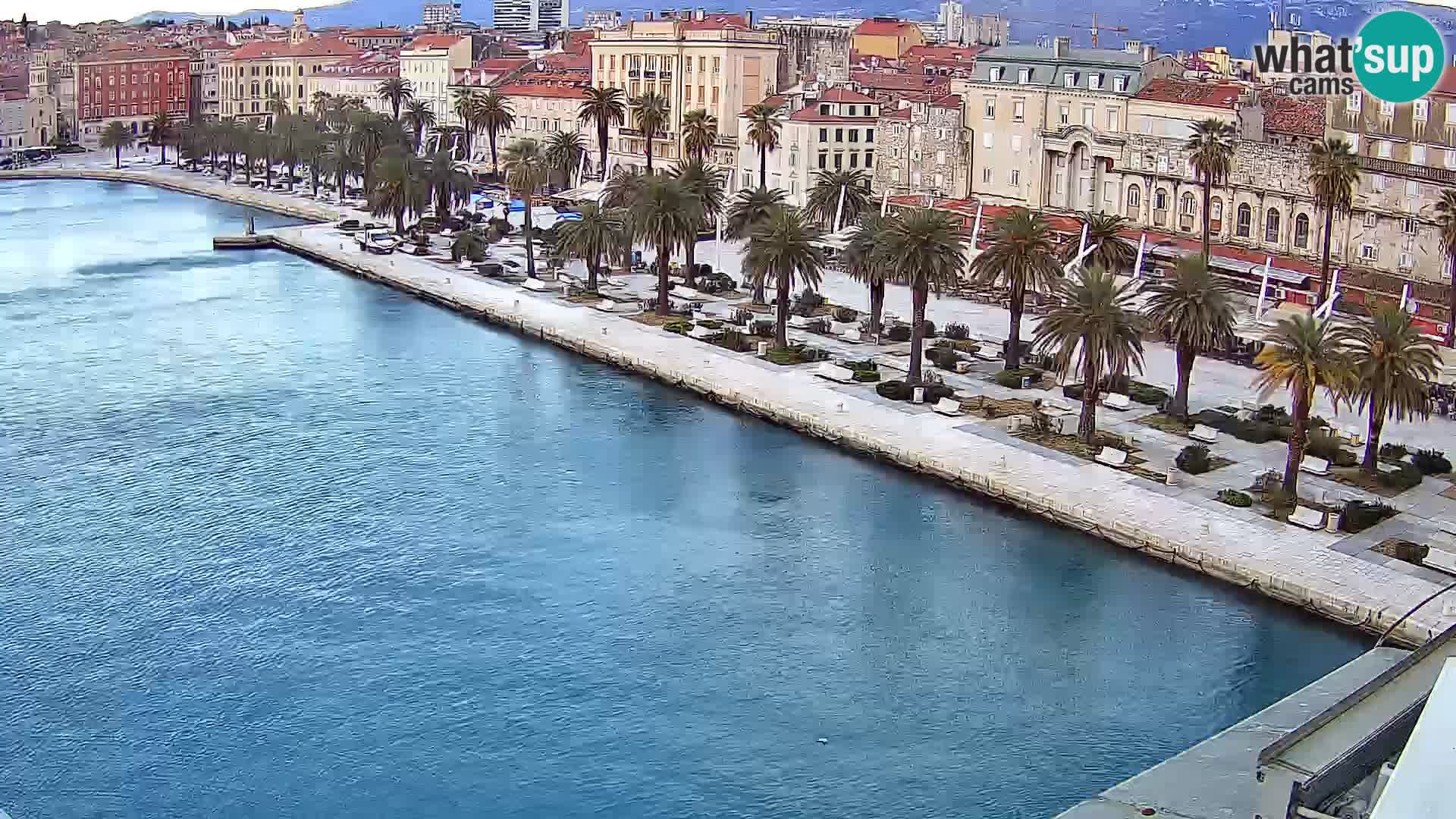 Split livecam panorama