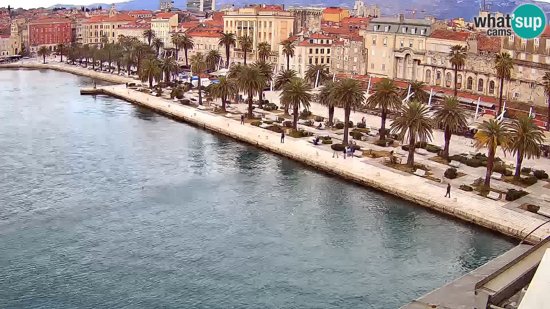 Split livecam panorama