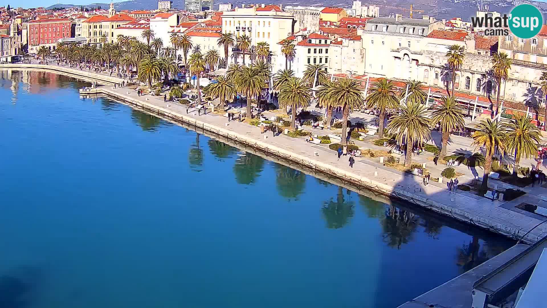 Split livecam panorama