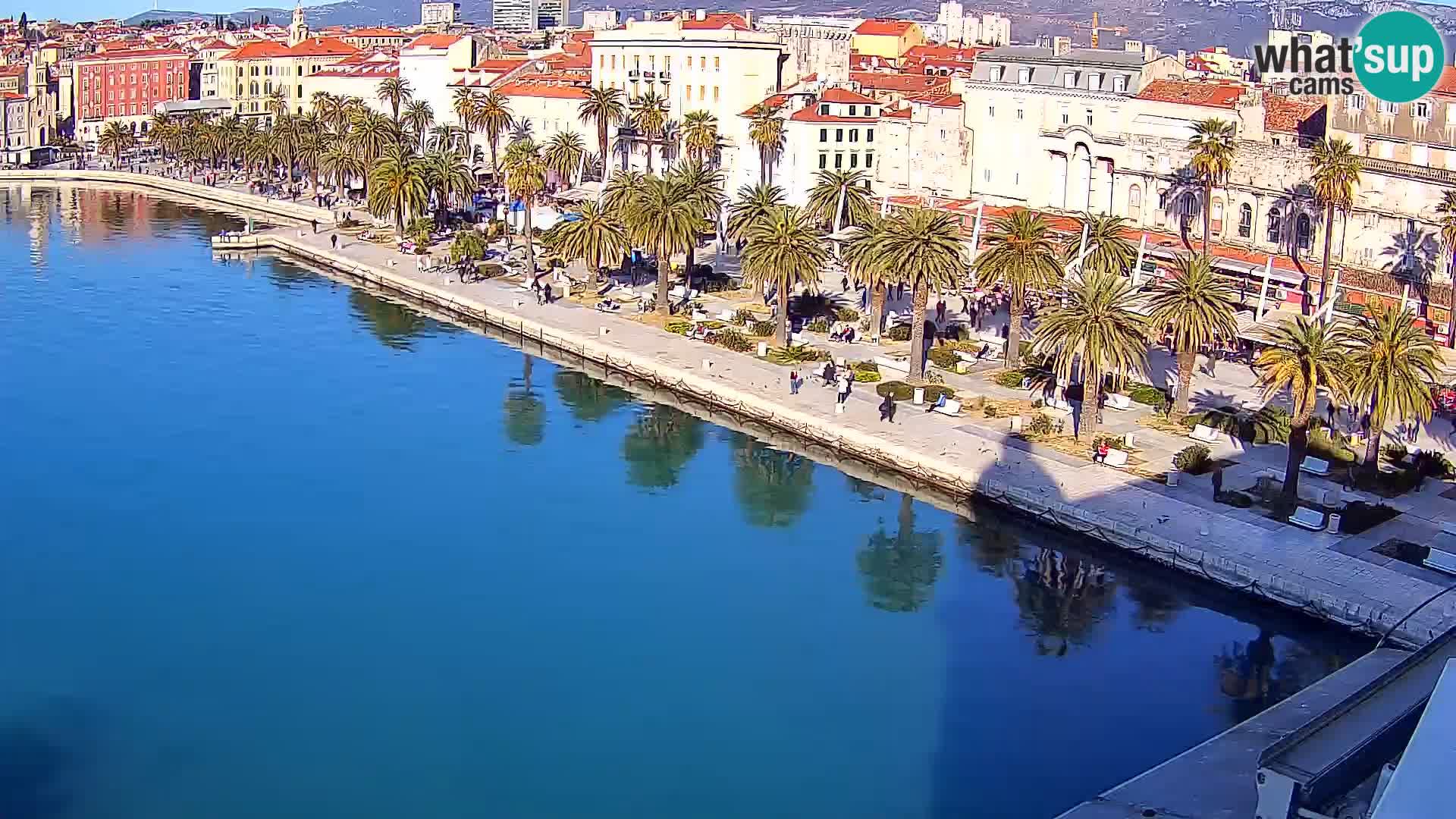 Split livecam panorama