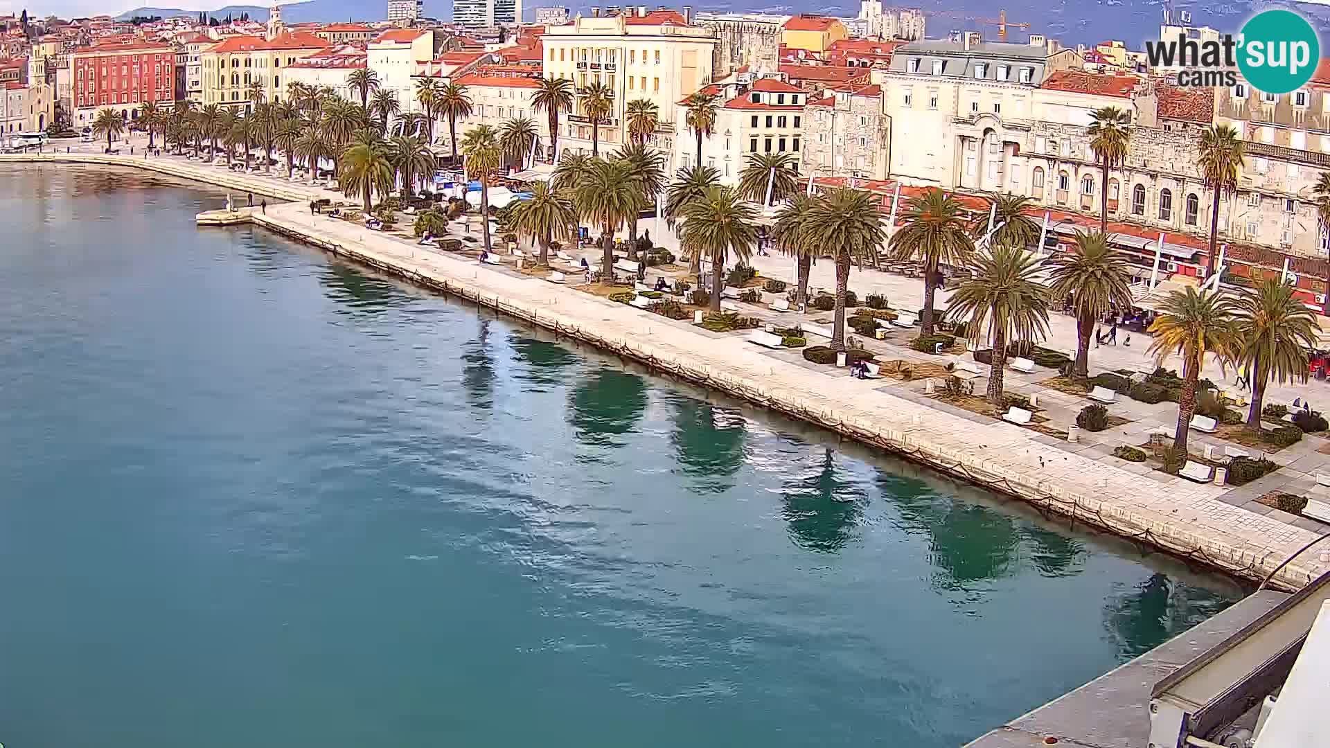 Split livecam panorama