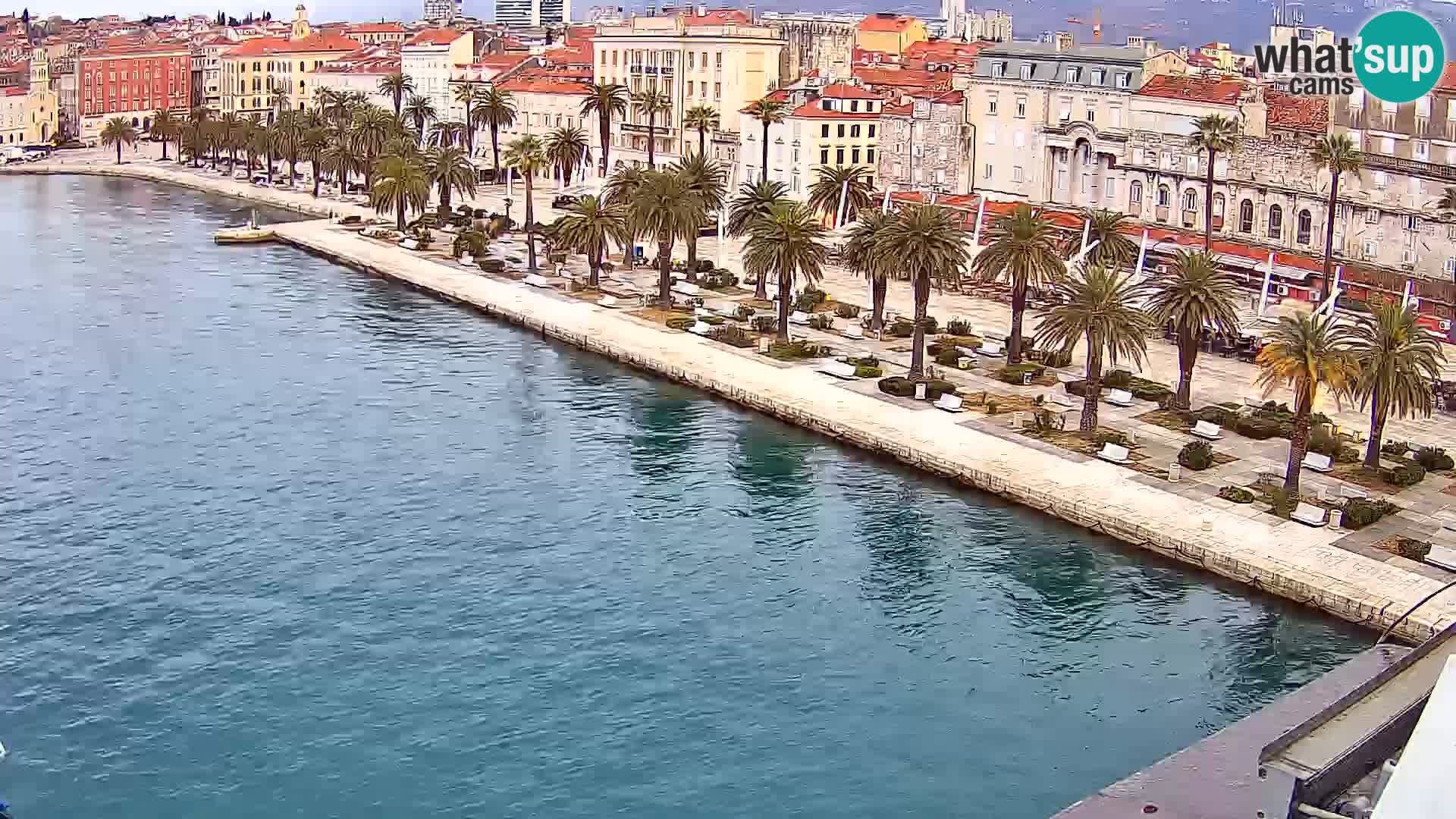 Split v živo panoramska kamera