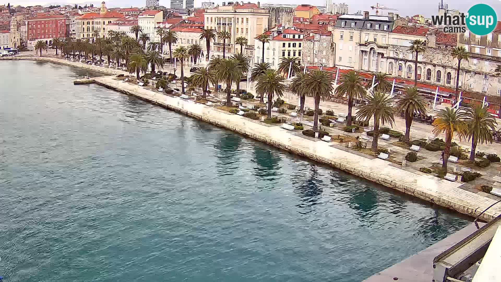 Split v živo panoramska kamera