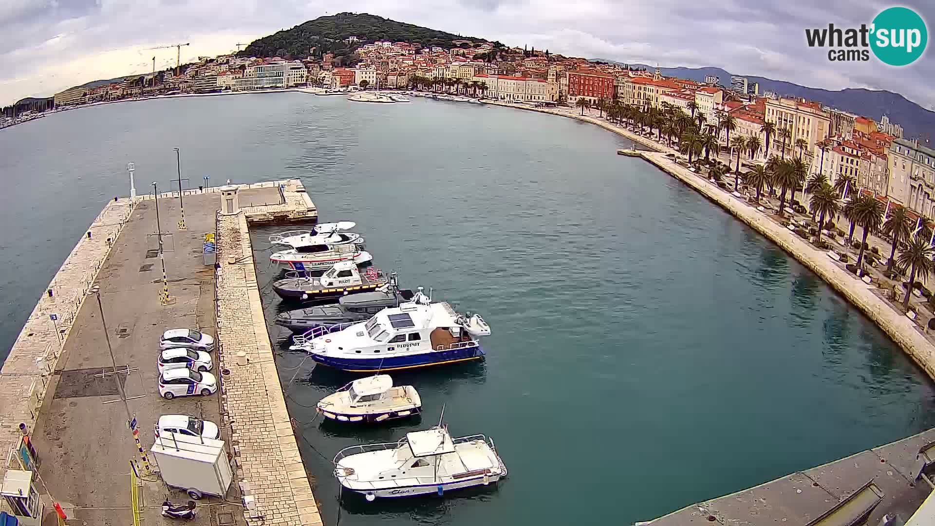 Split livecam panorama