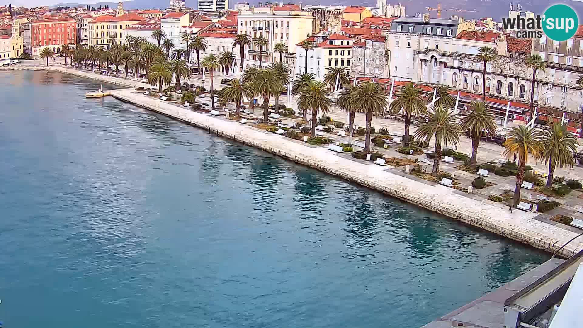 Split v živo panoramska kamera