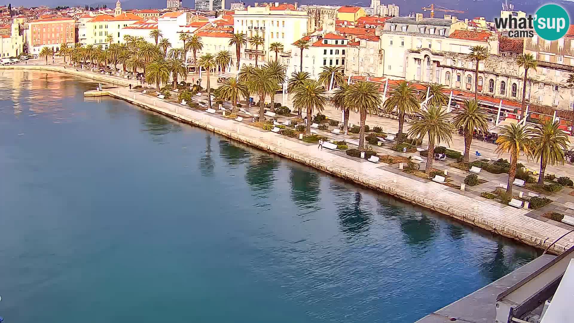 Split livecam panorama