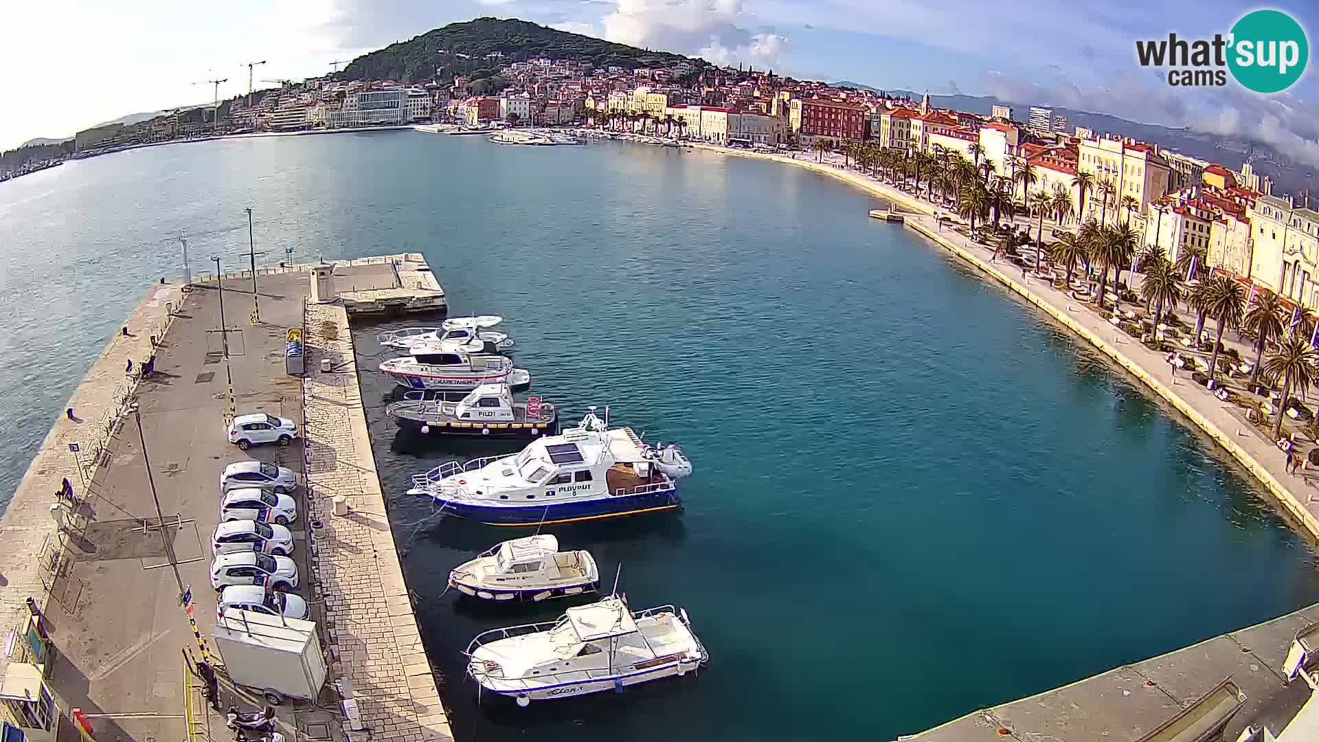 Split v živo panoramska kamera