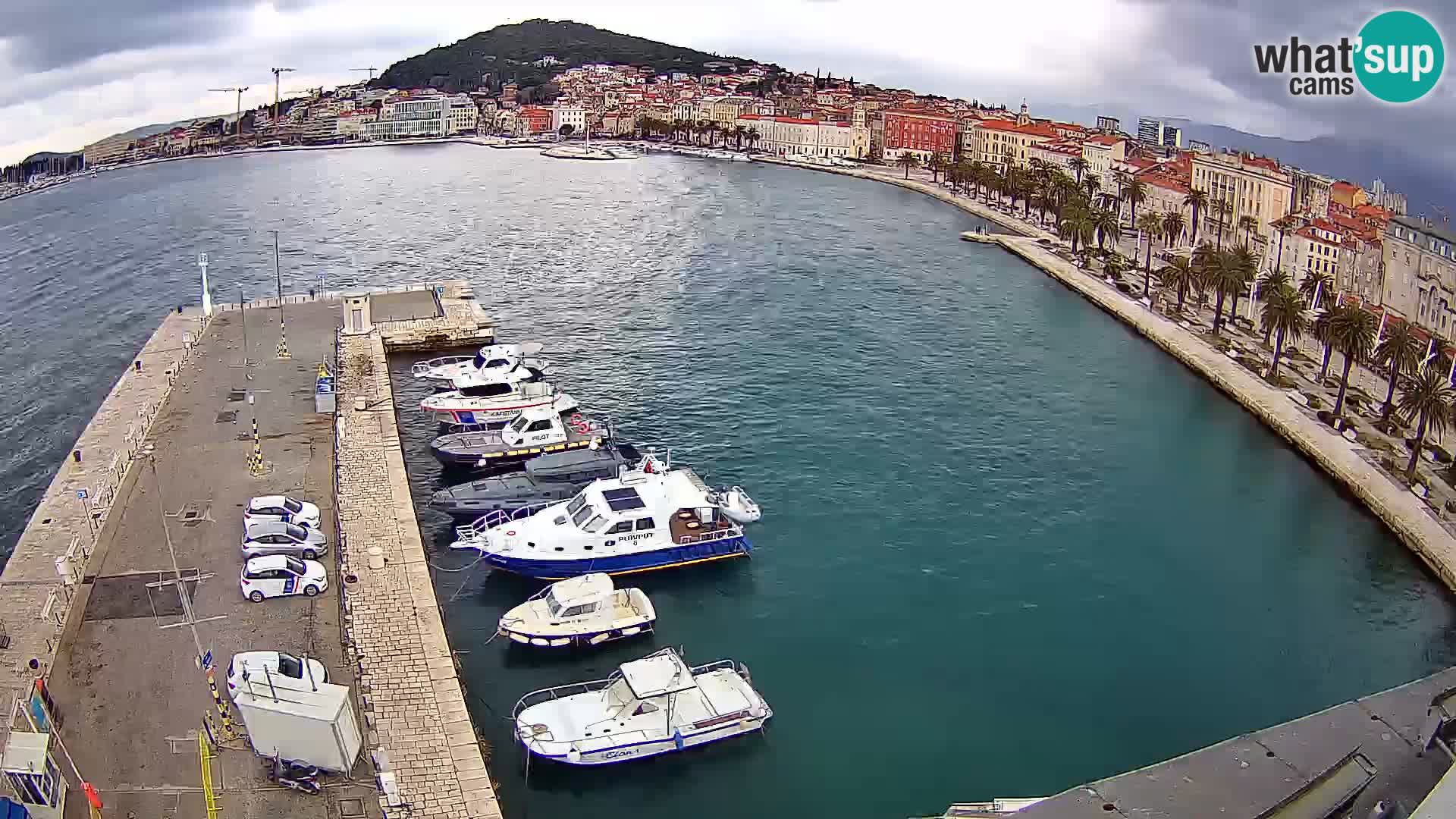 Split livecam panorama