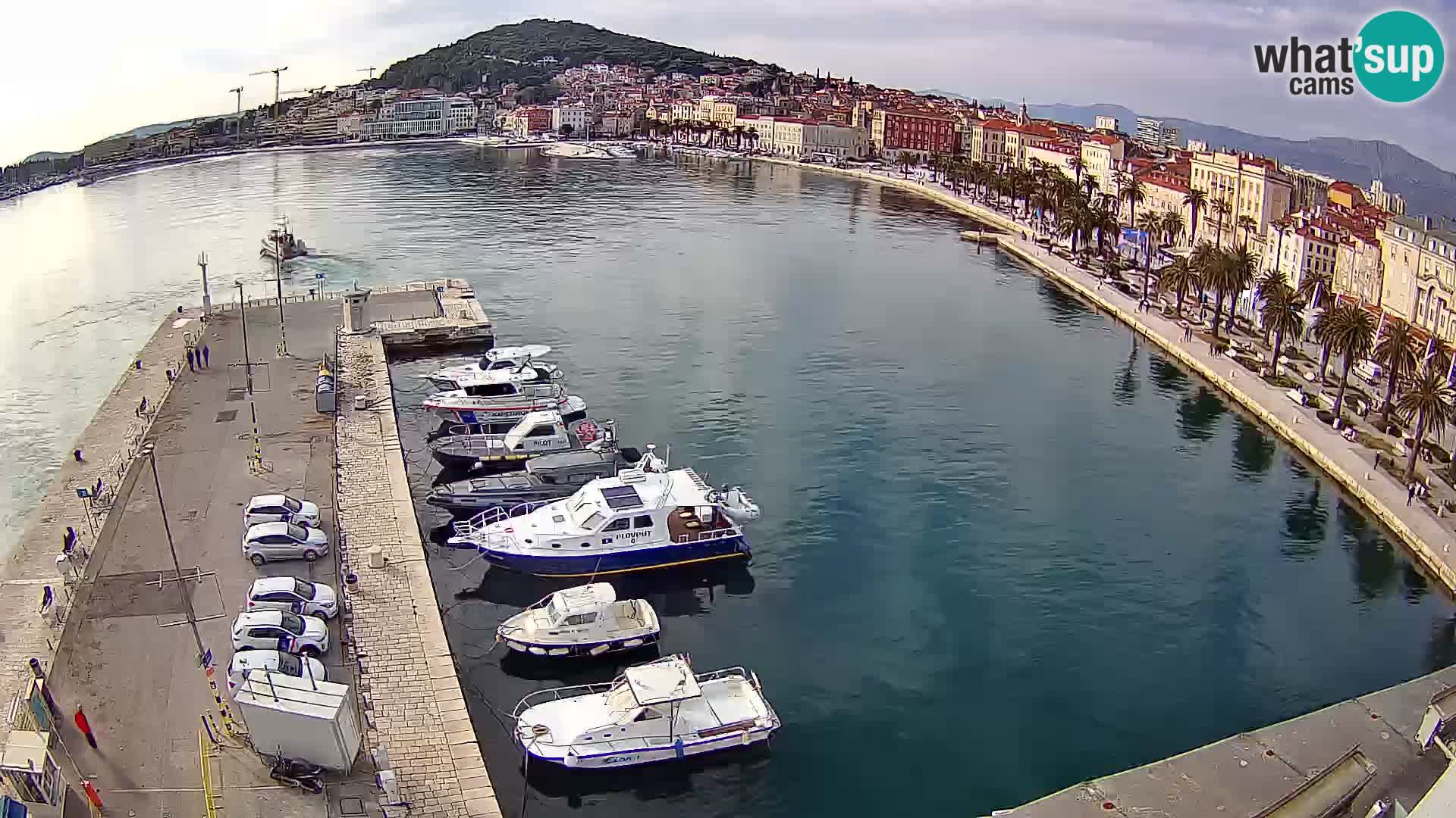 Split livecam panorama