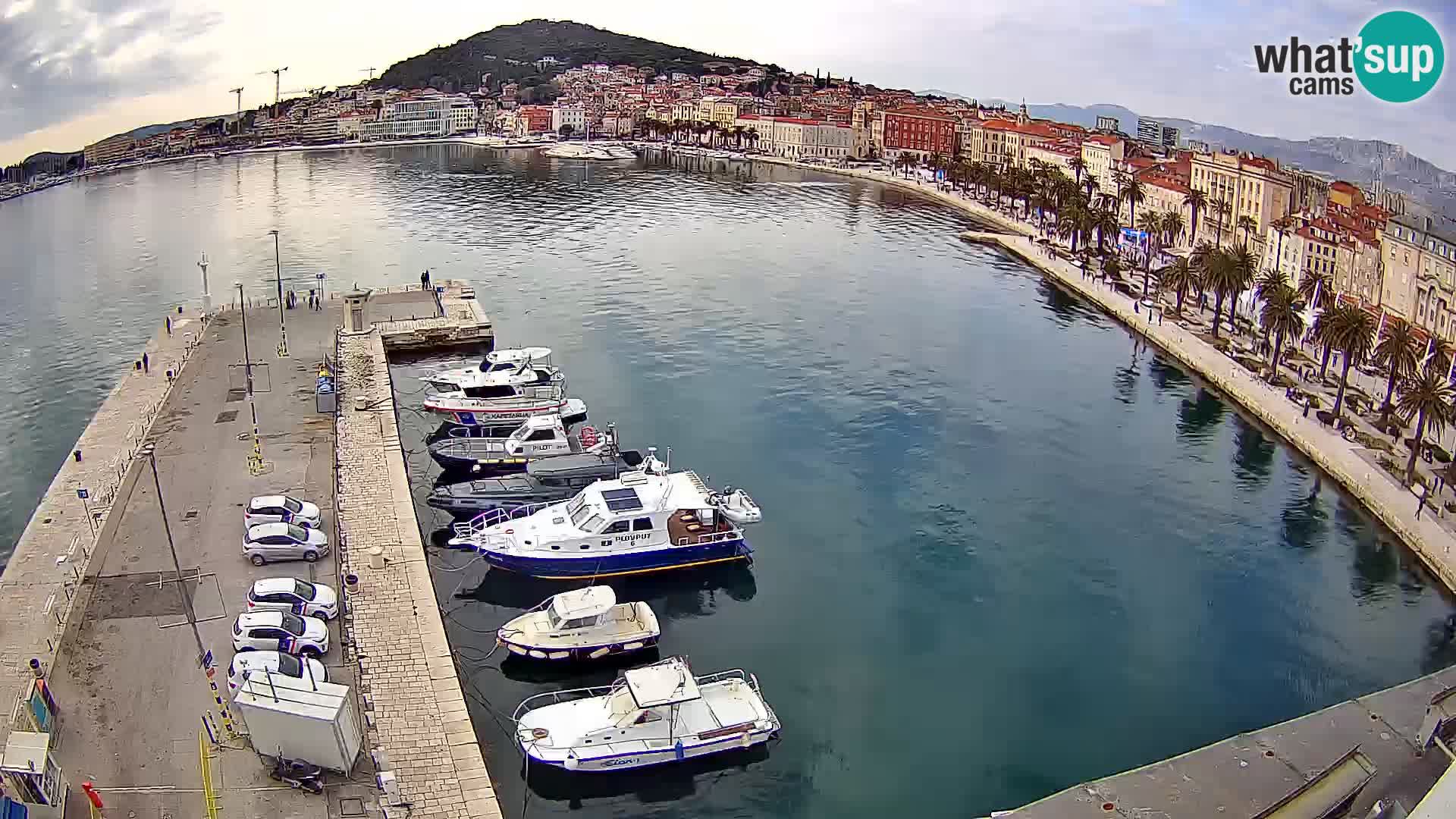 Split v živo panoramska kamera