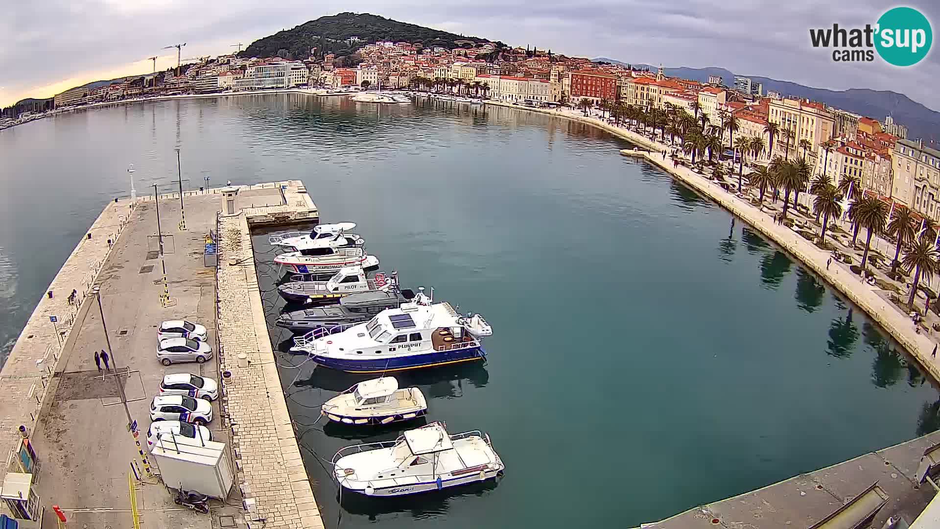 Split v živo panoramska kamera