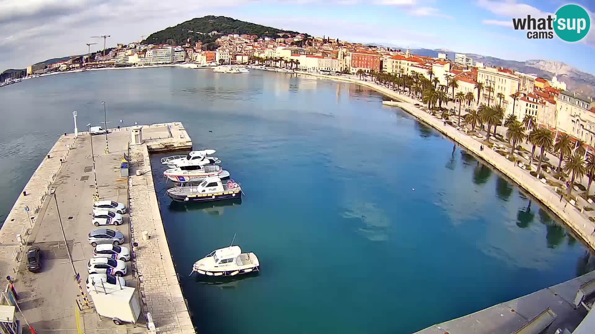 Split v živo panoramska kamera