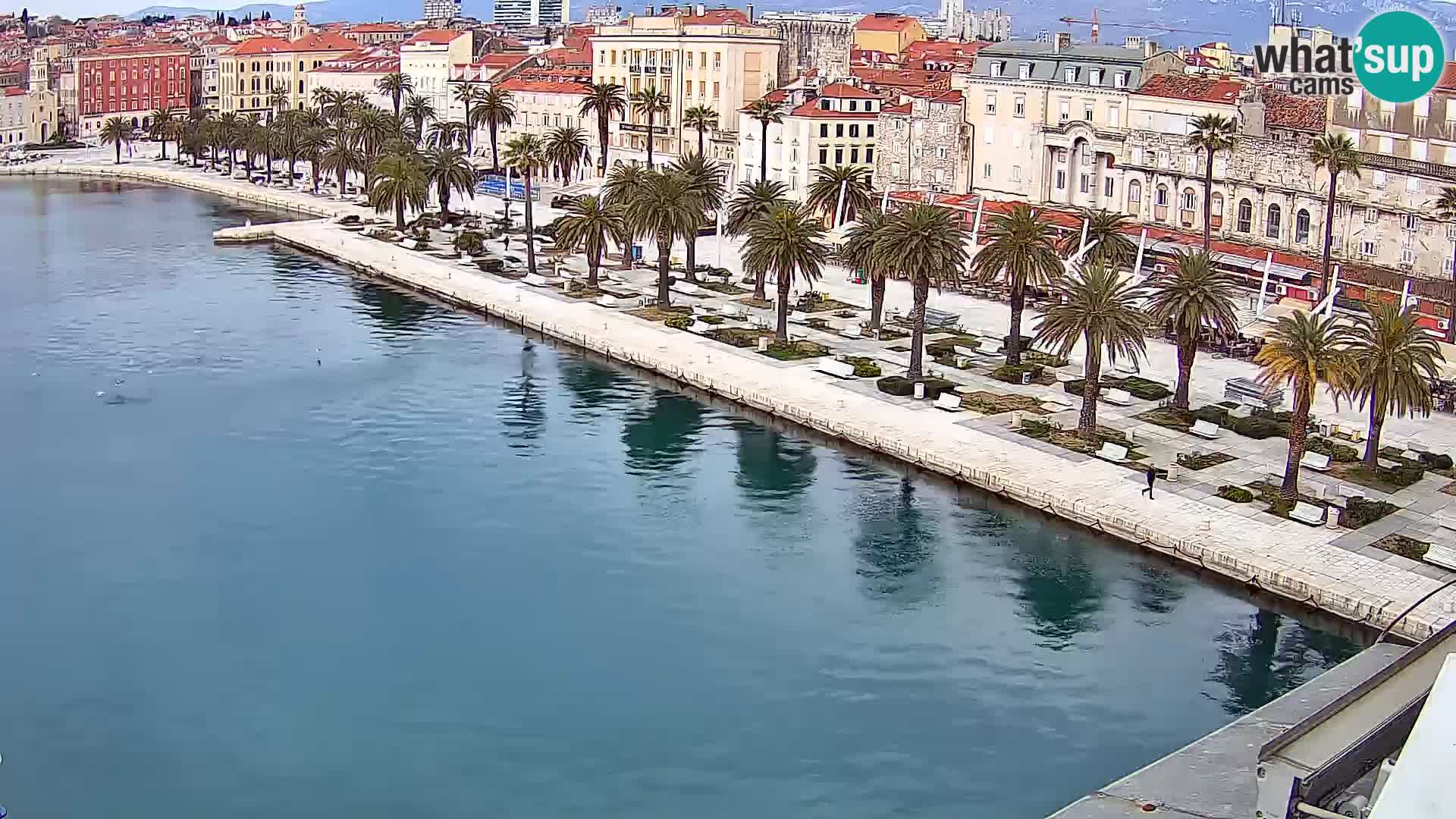 Split livecam panorama