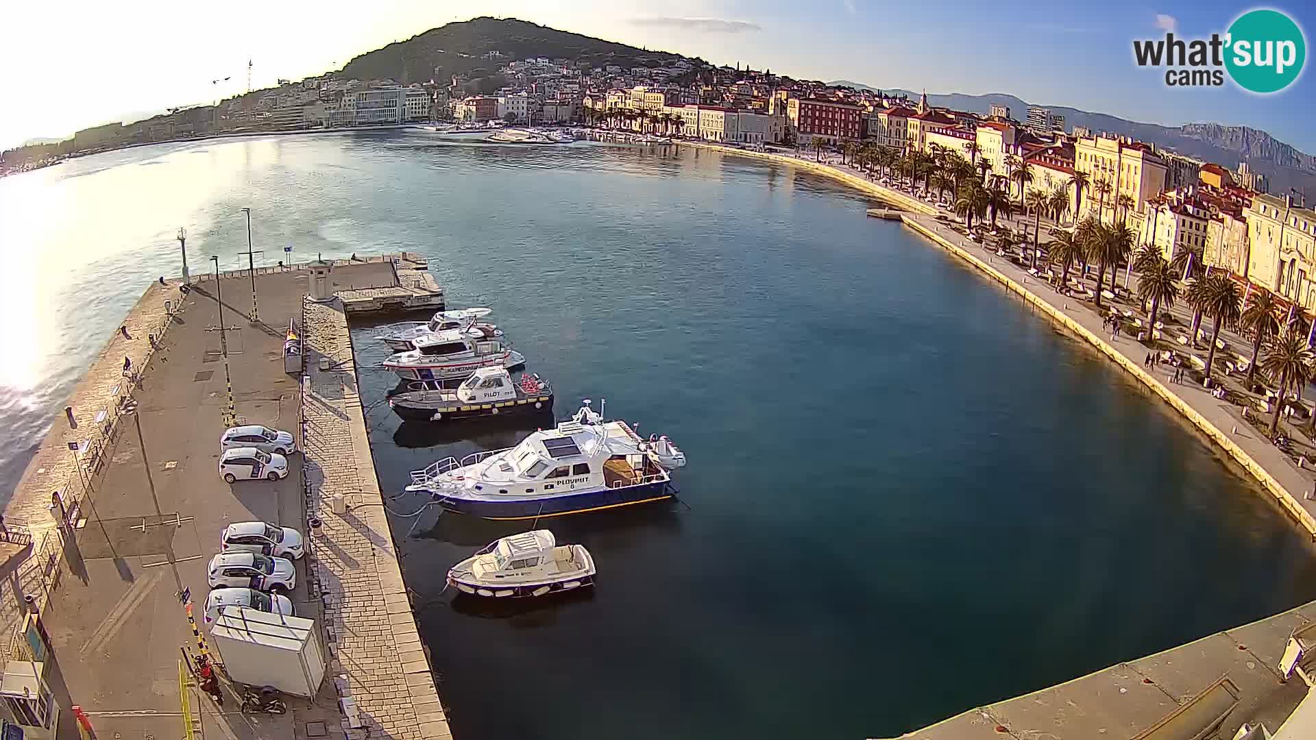 Split v živo panoramska kamera