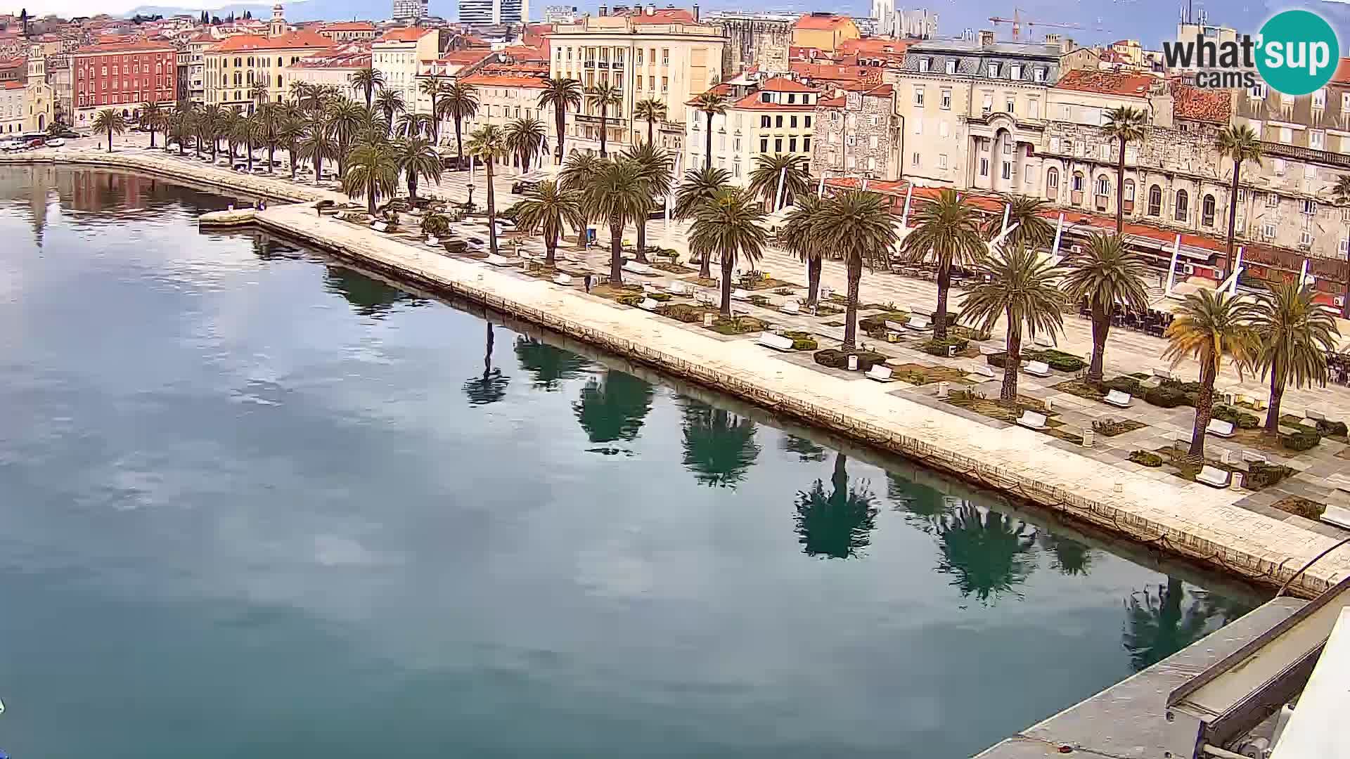 Split livecam panorama