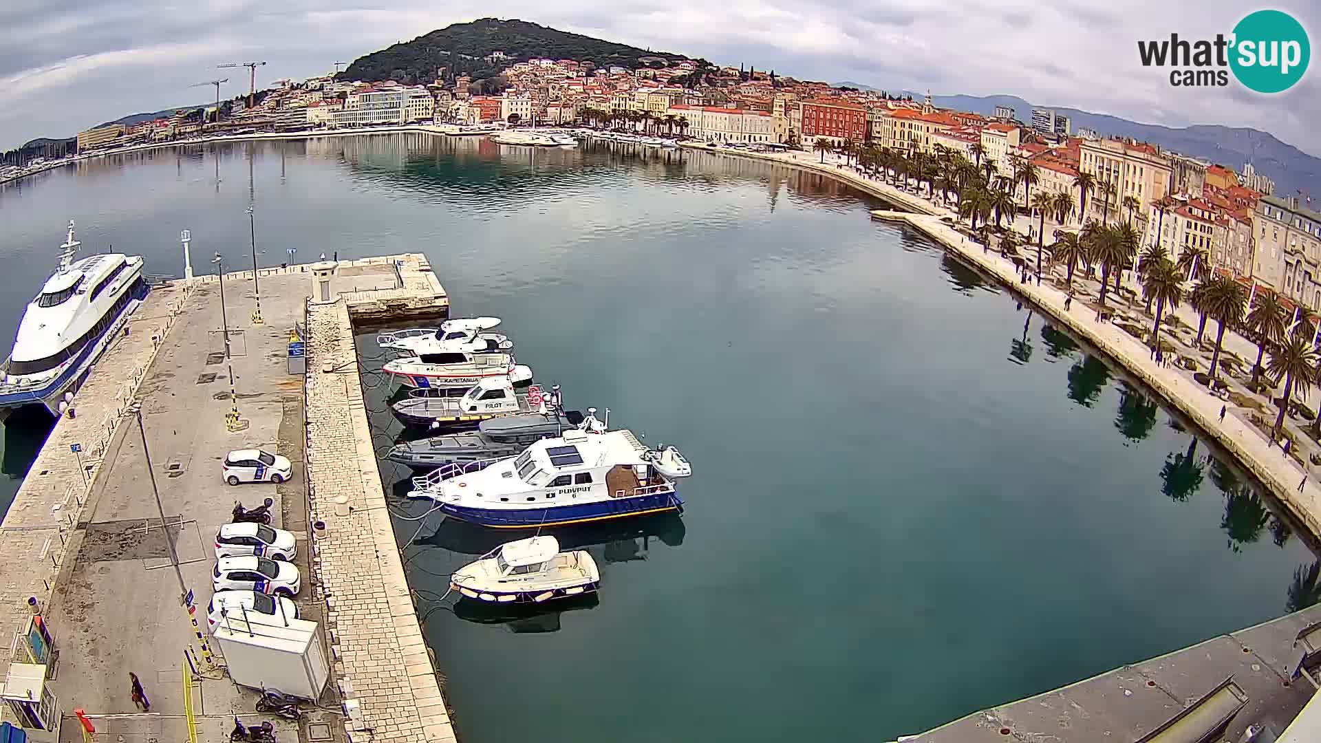 Split livecam panorama