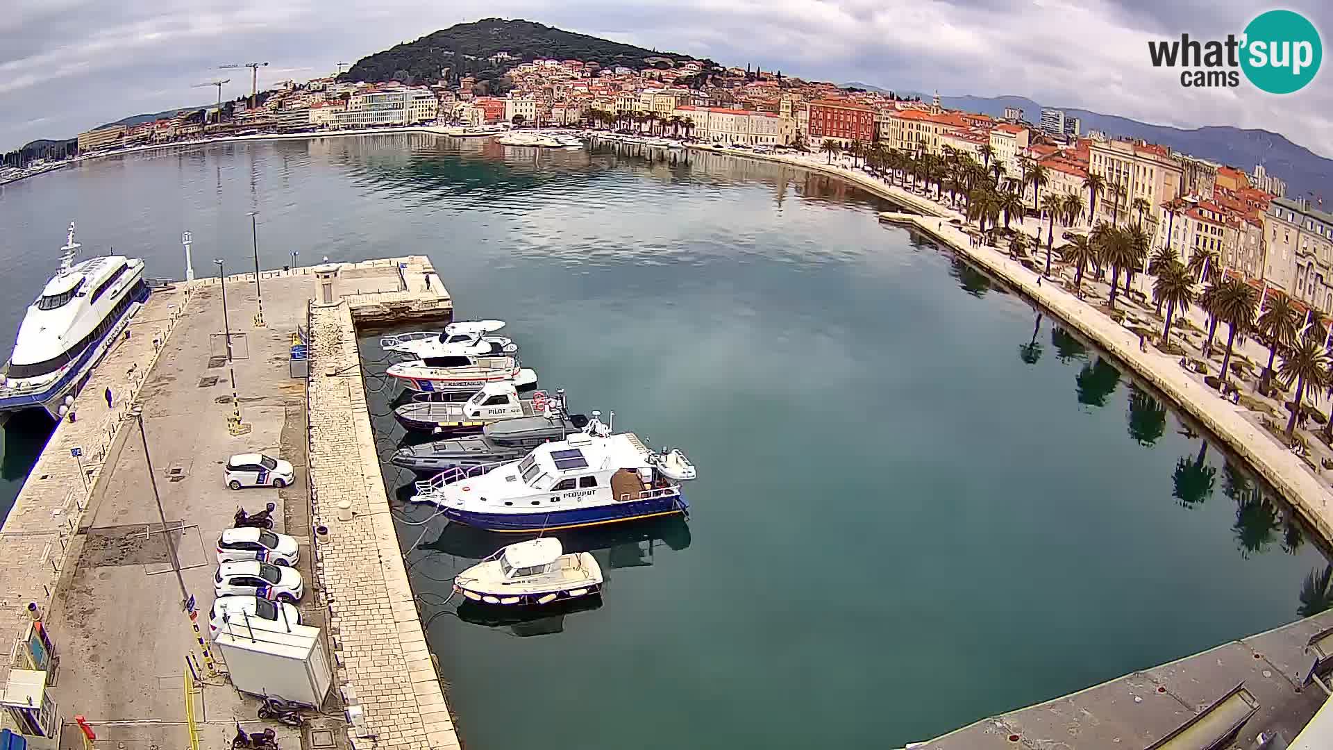 Split v živo panoramska kamera