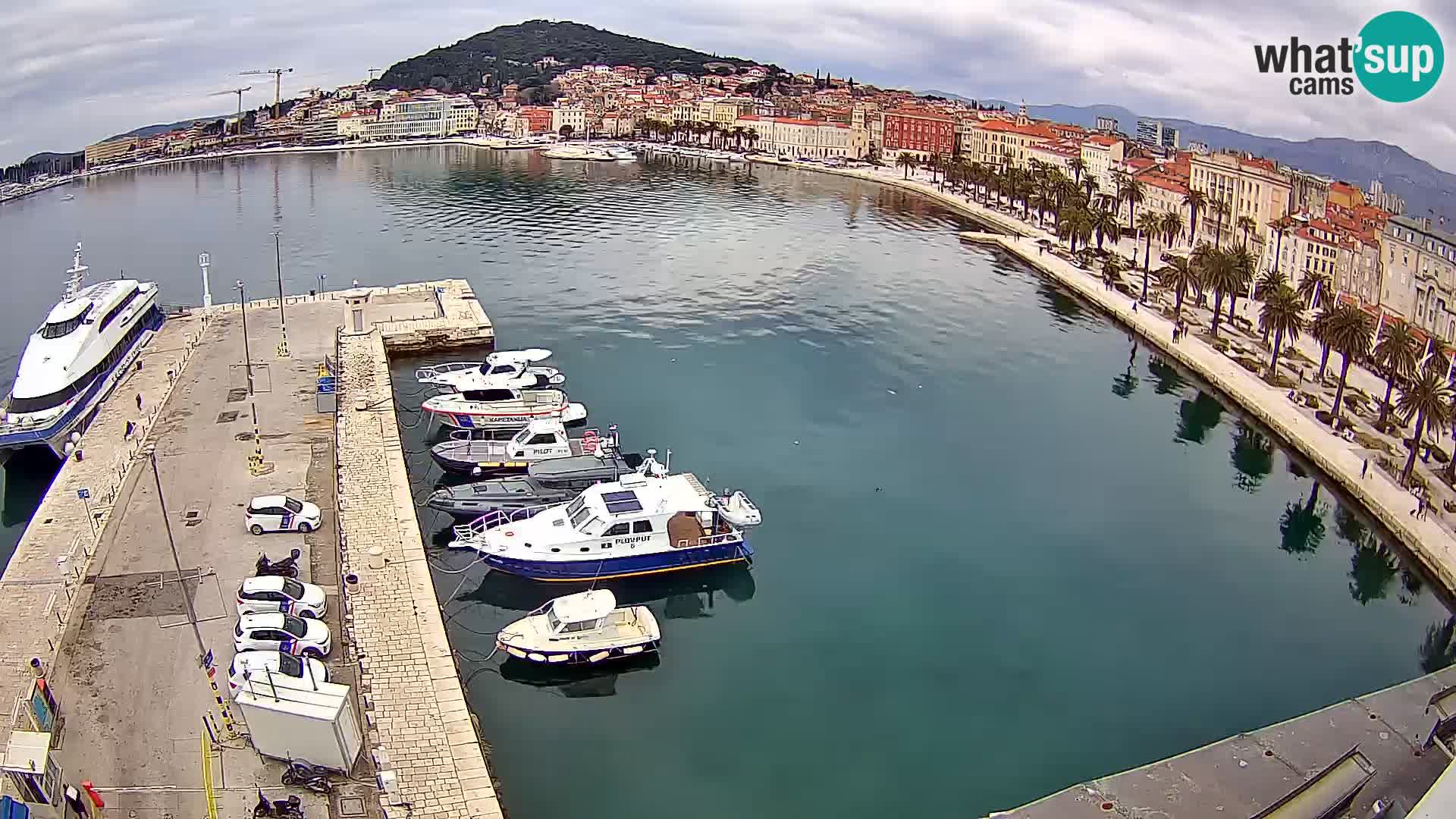 Split v živo panoramska kamera