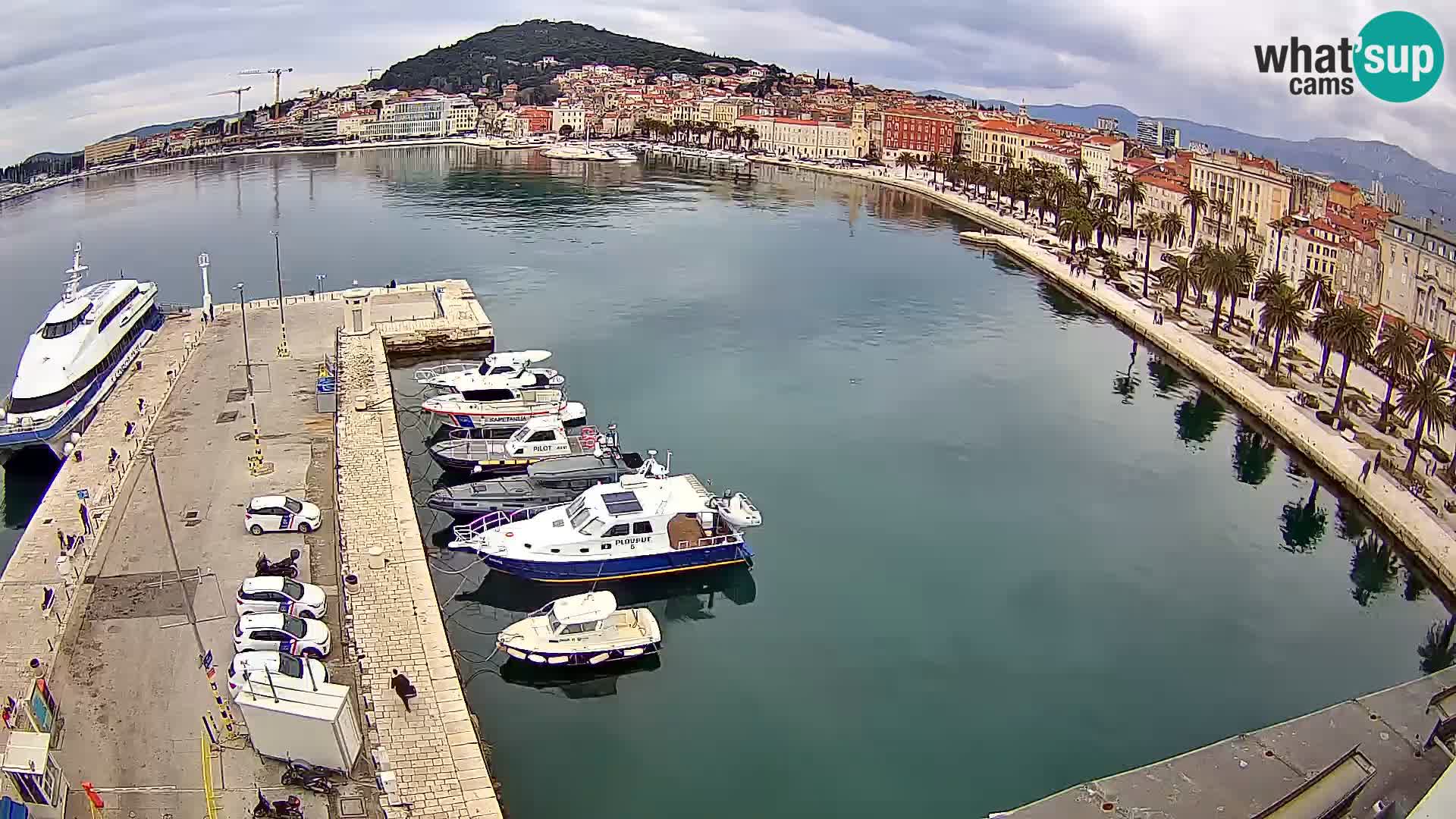 Split v živo panoramska kamera