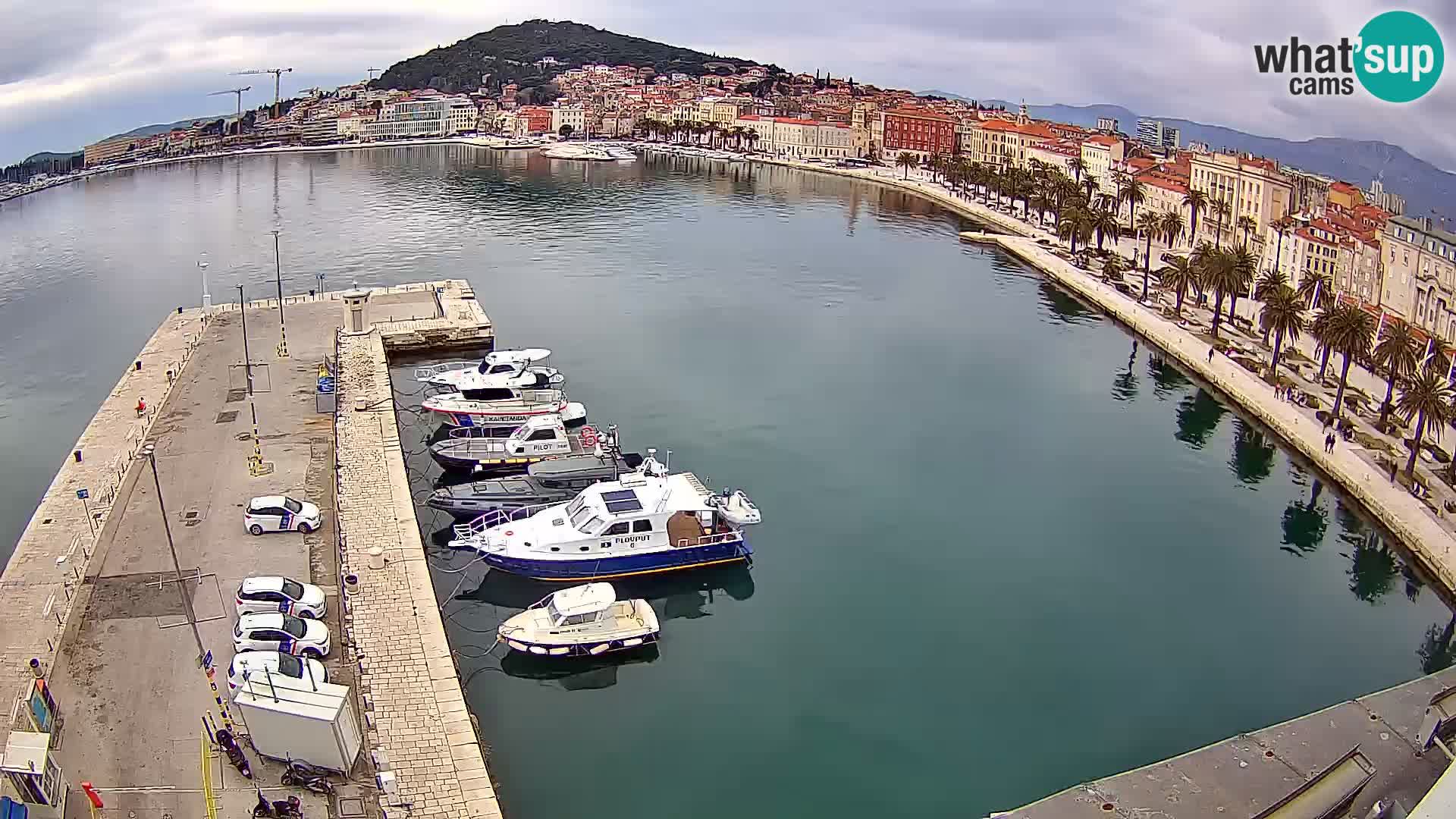 Split livecam panorama