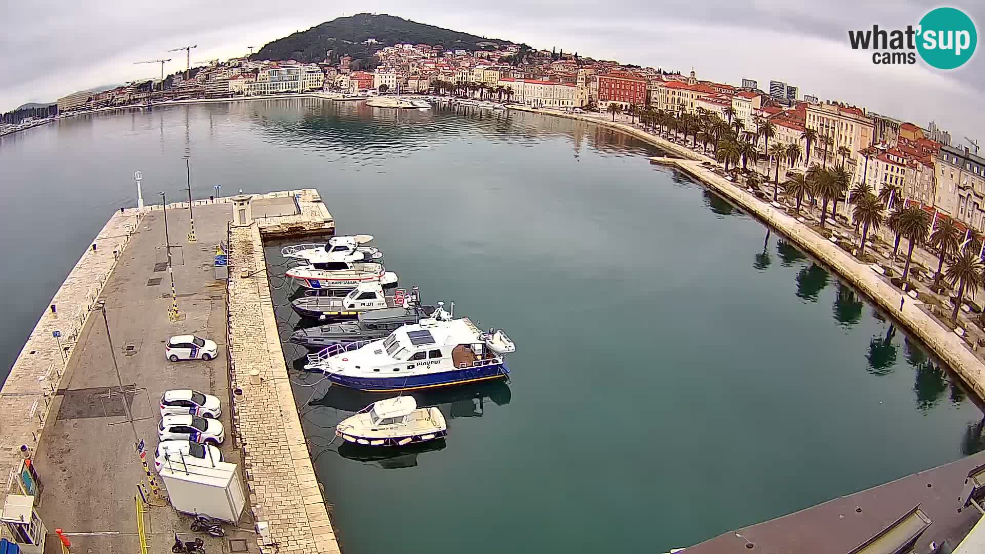 Split livecam panorama