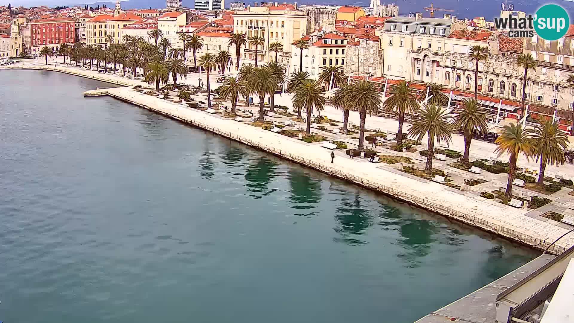 Split v živo panoramska kamera