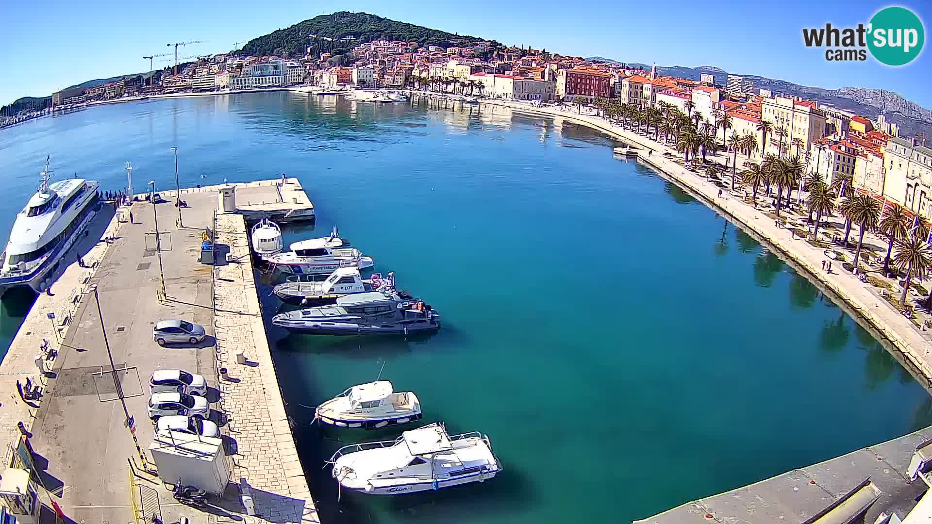 Split panorama en vivo