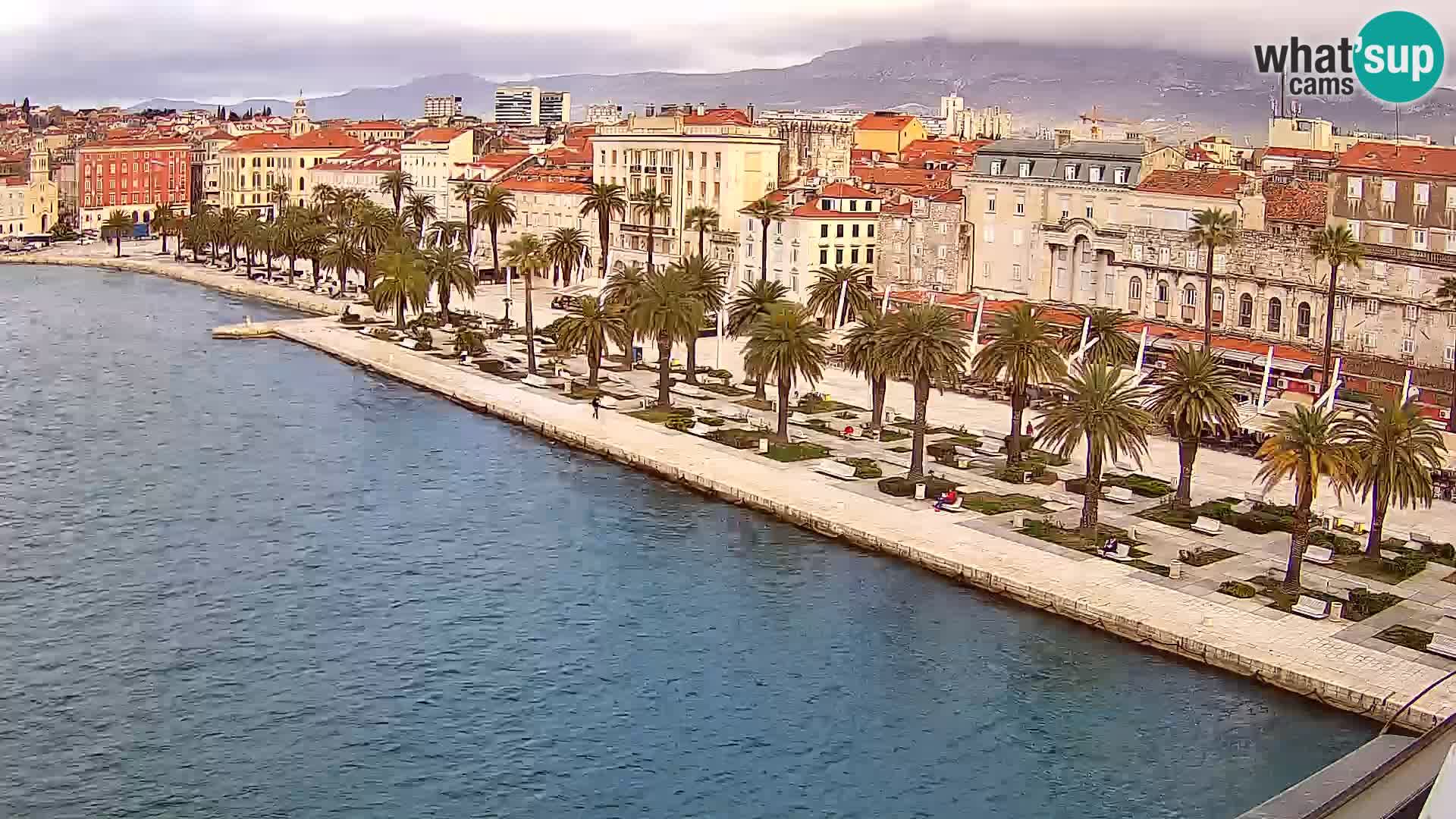 Split v živo panoramska kamera