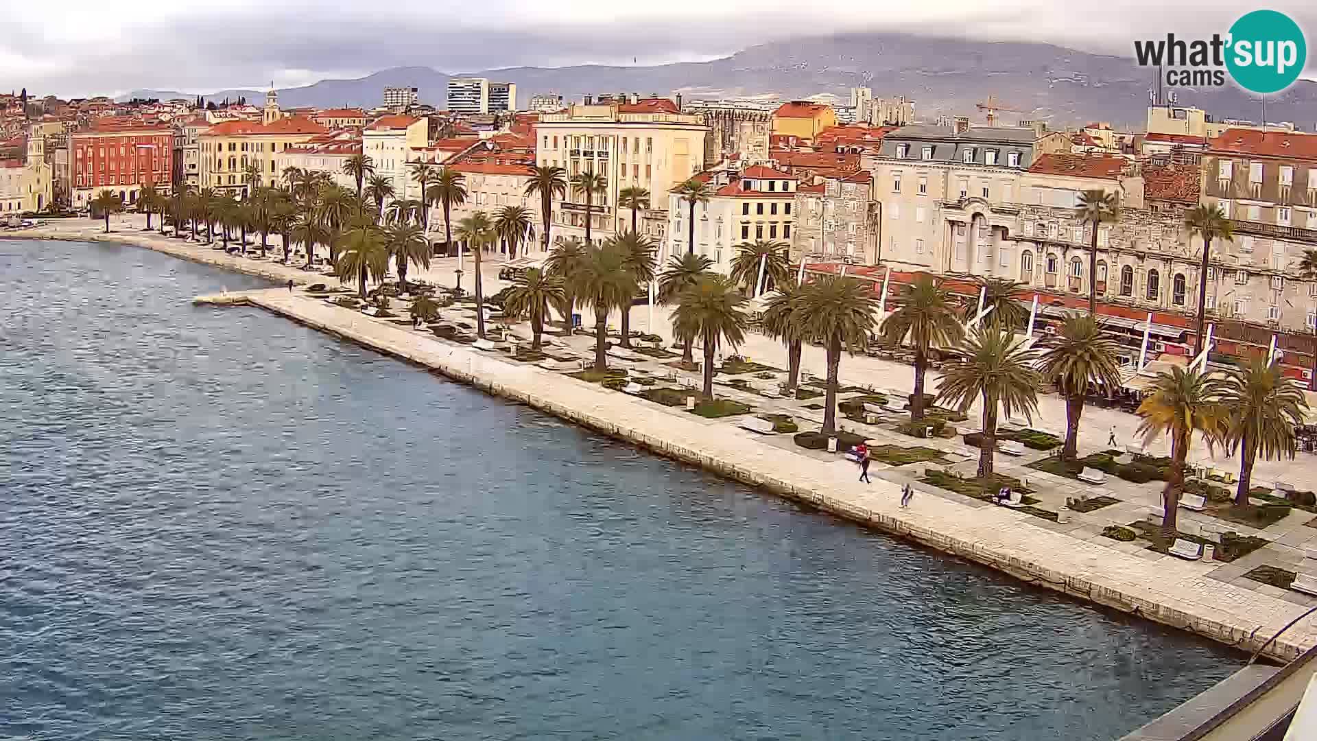 Split livecam panorama