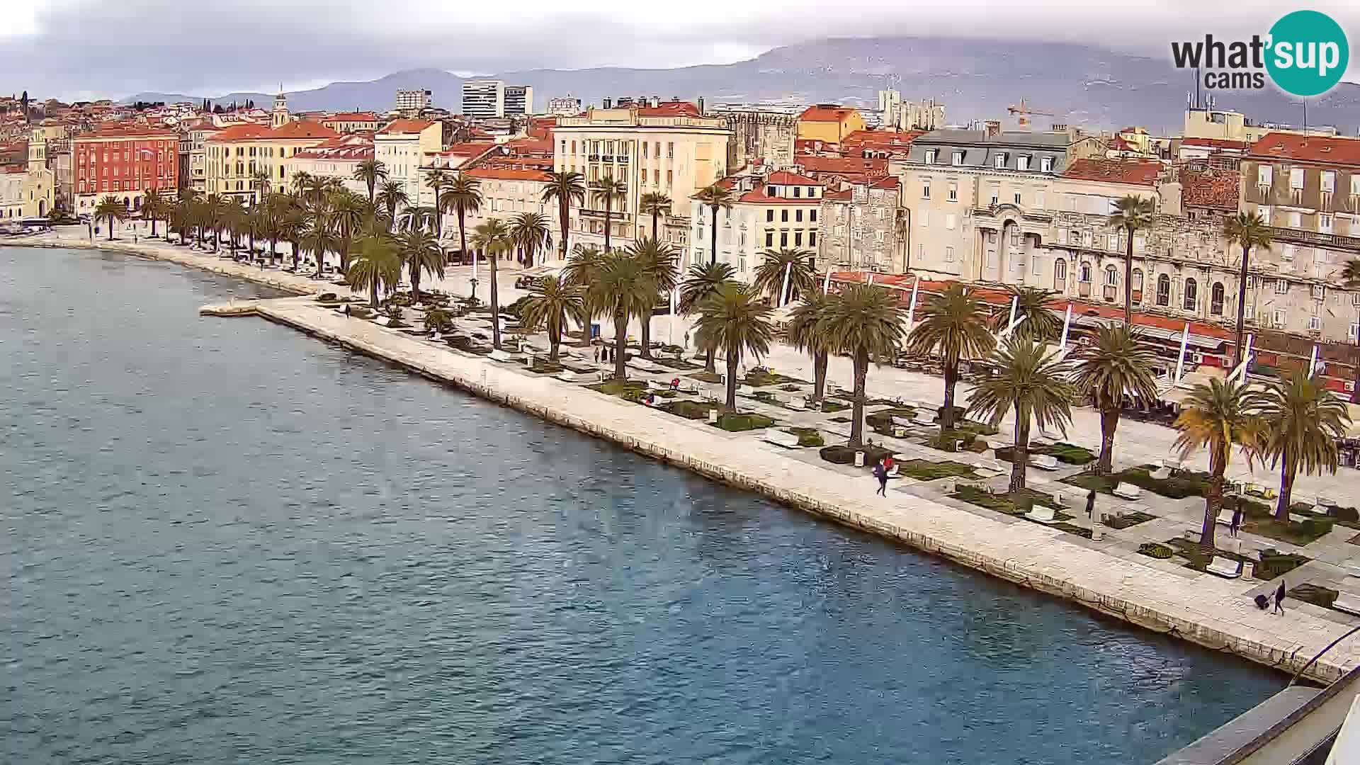 Split v živo panoramska kamera