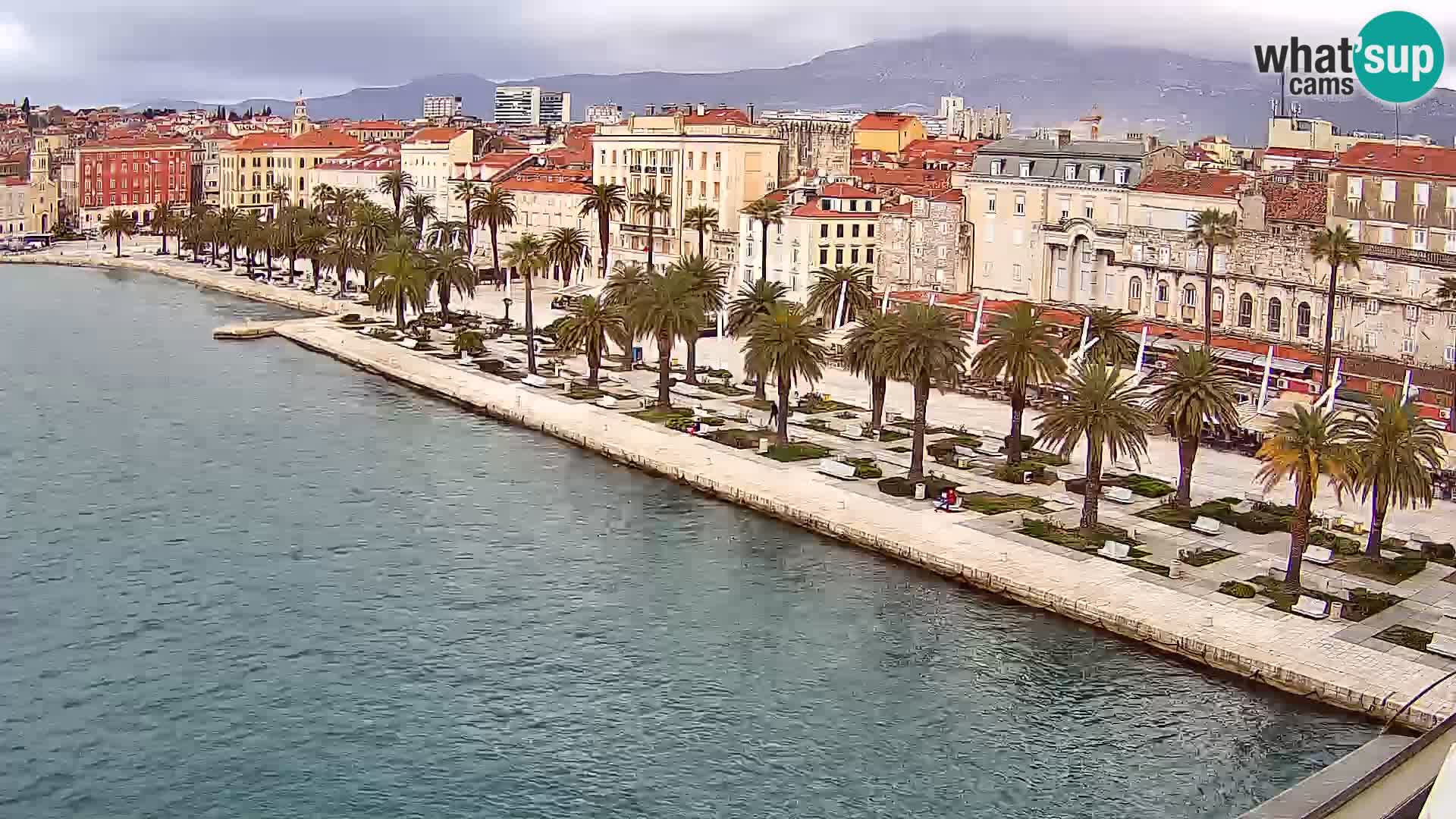 Split v živo panoramska kamera