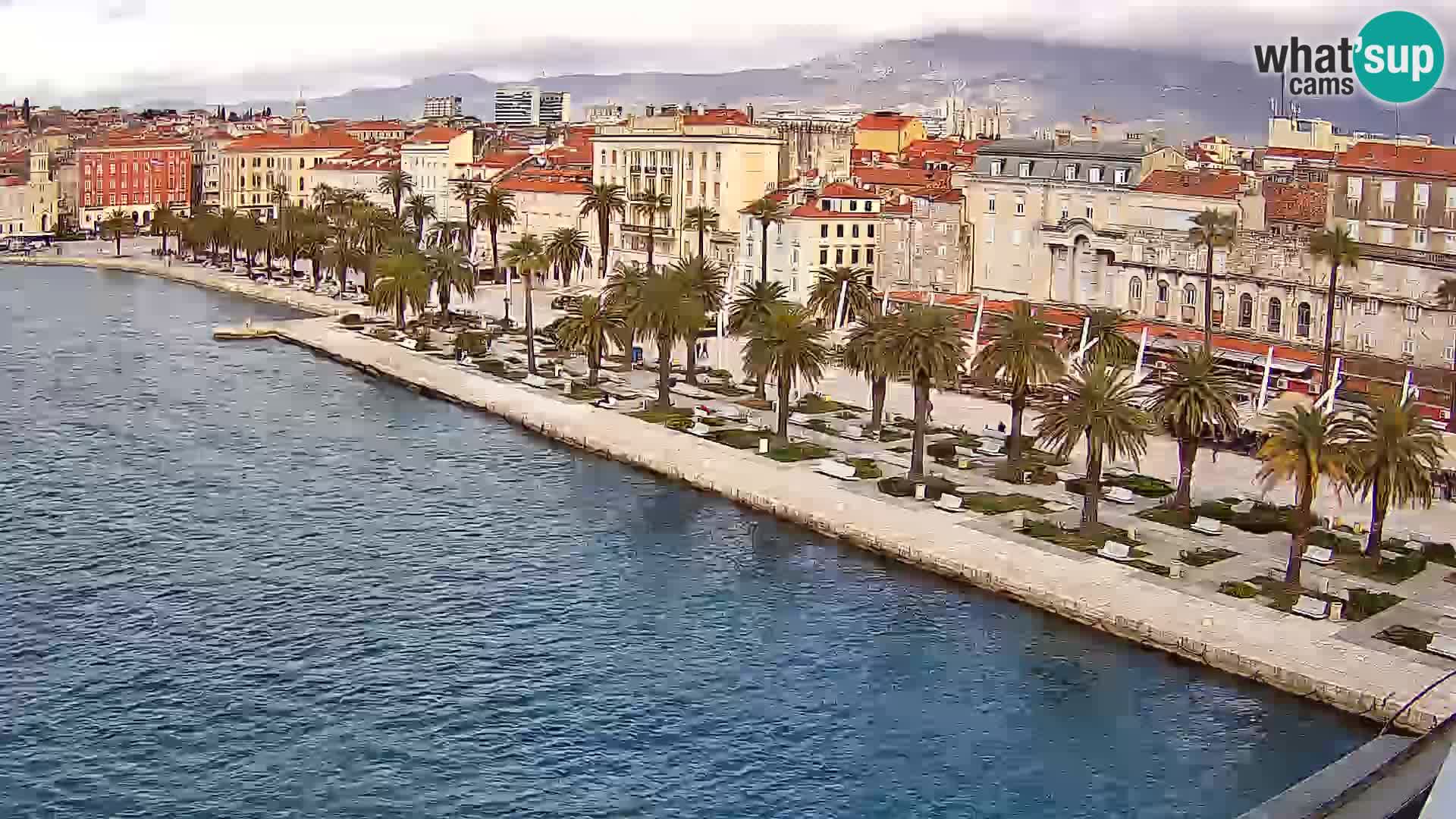 Split livecam panorama