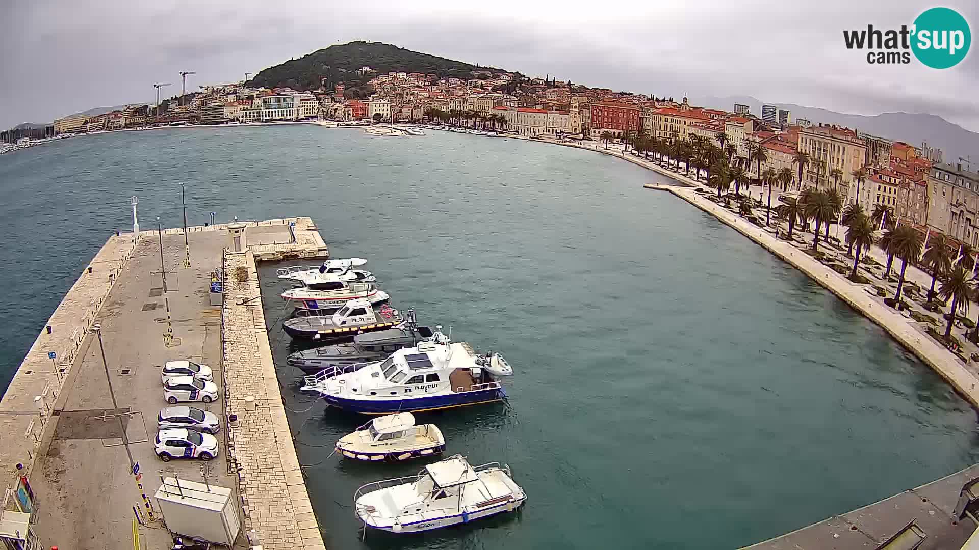 Split livecam panorama