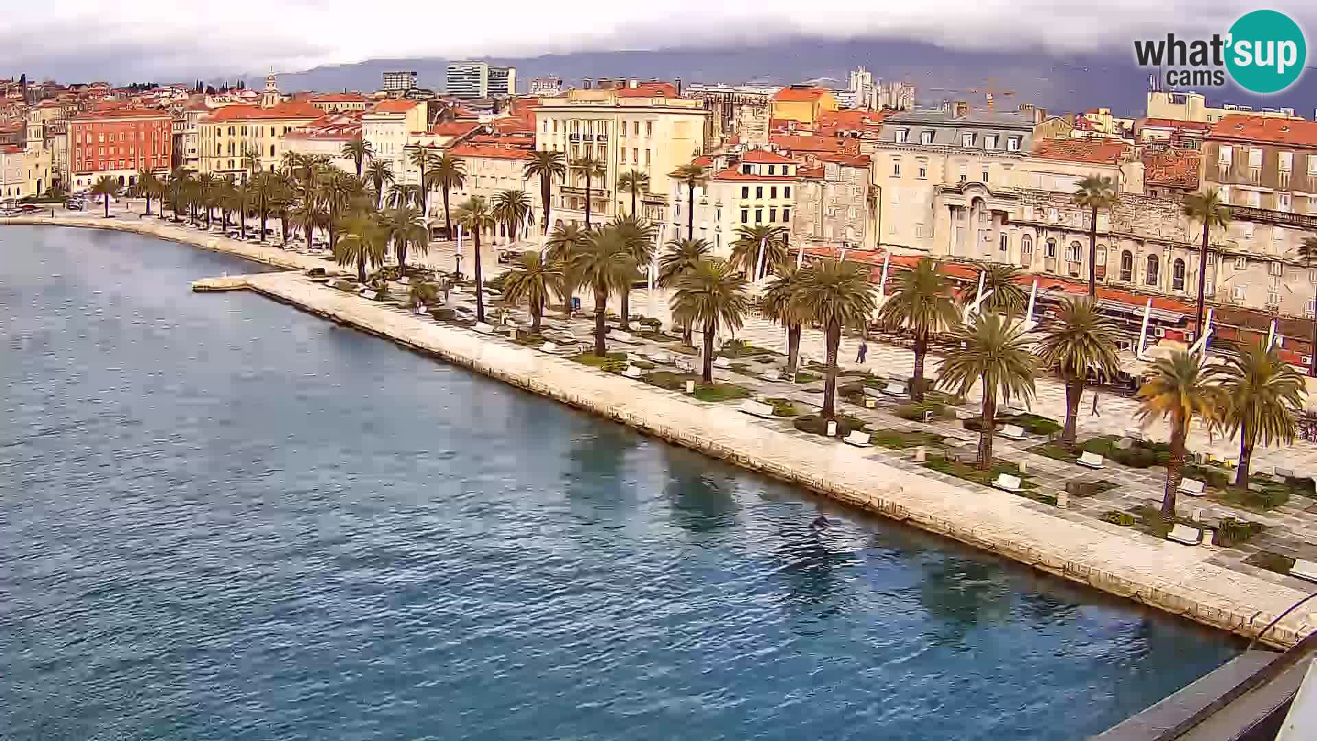 Split livecam panorama