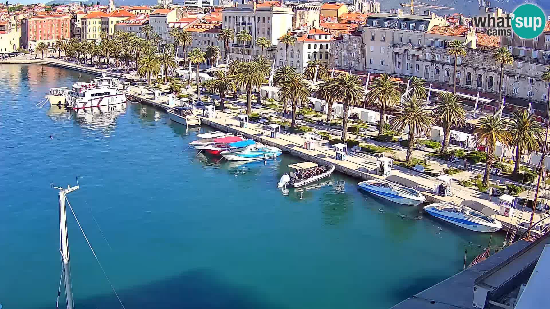 Webcam LIVE Split riva and port