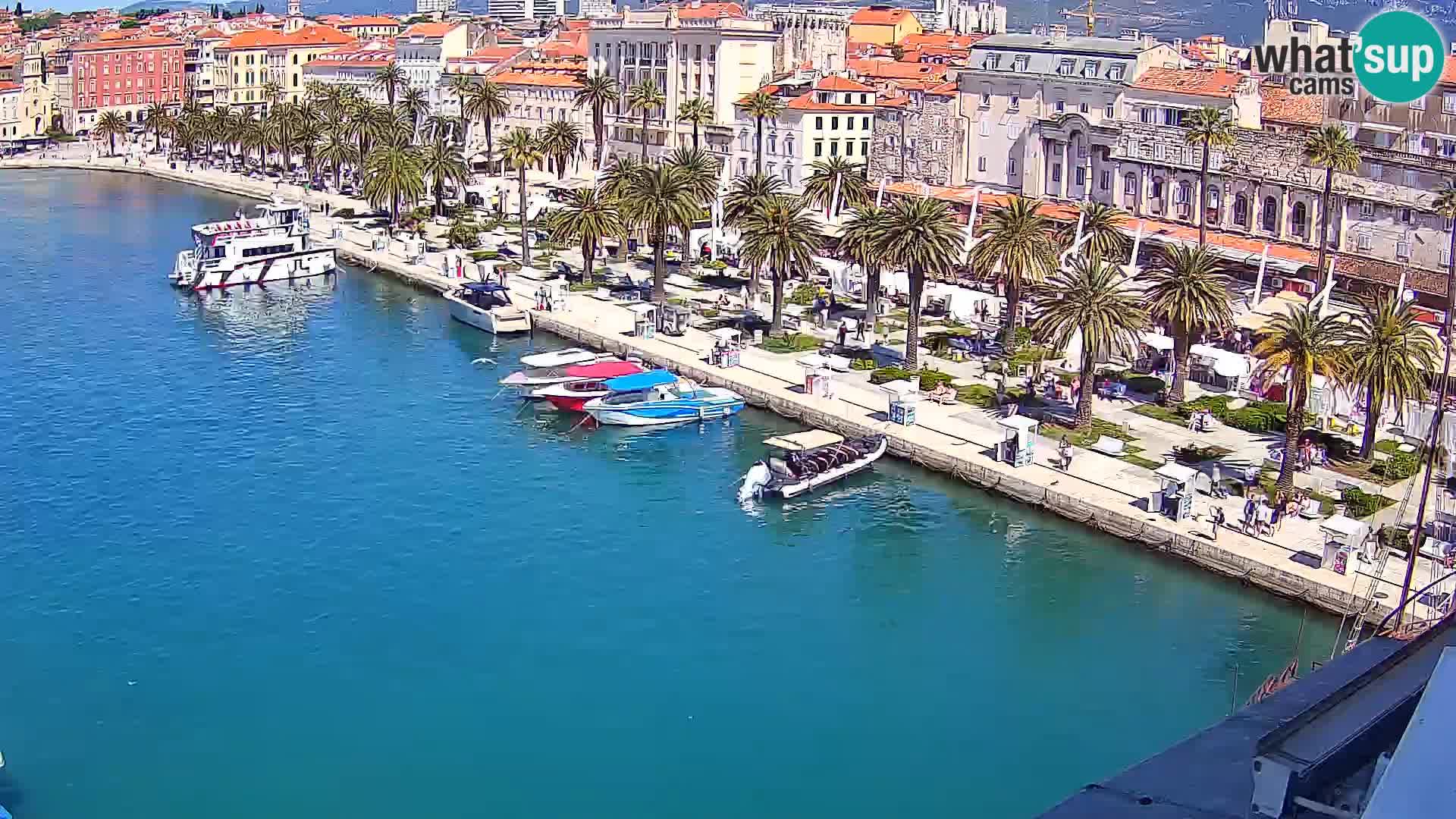 Webcam LIVE Split riva and port