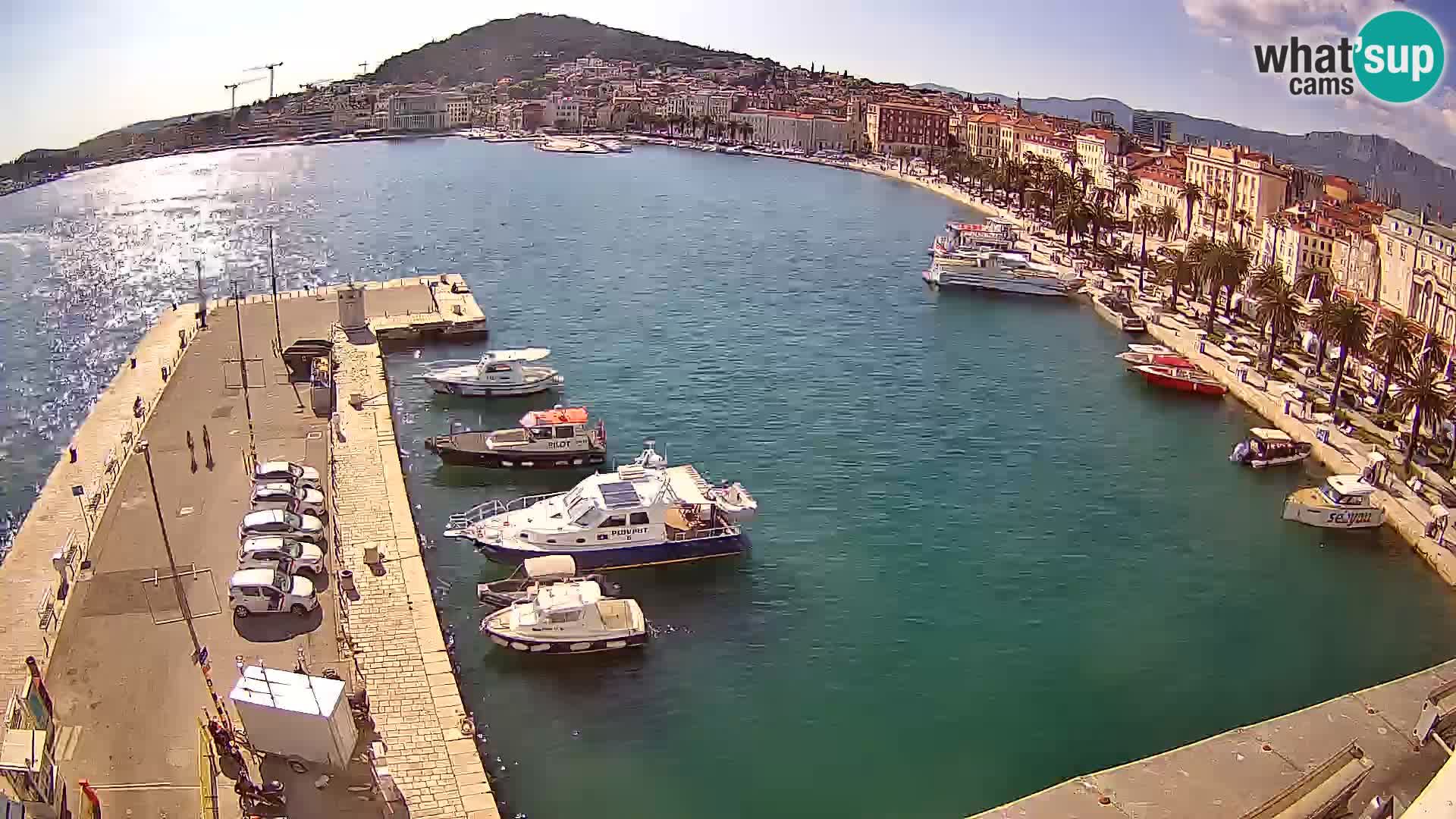 Webcam LIVE Split riva and port
