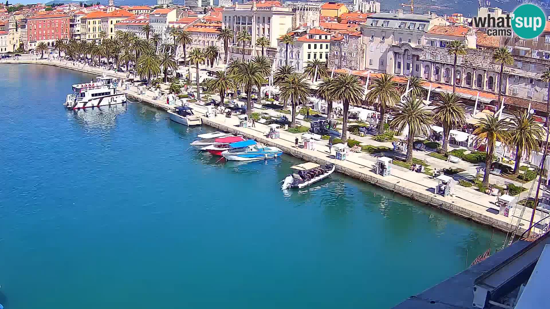 Split livecam panorama