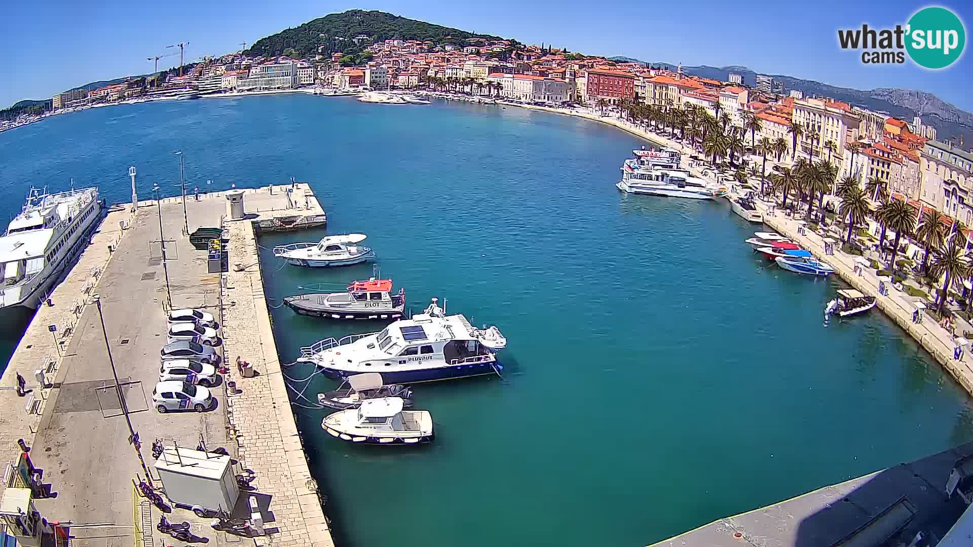 Webcam LIVE Split riva and port