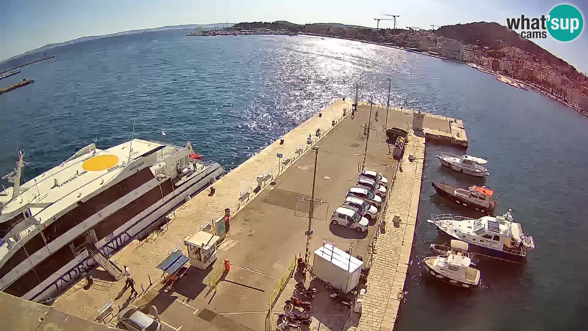 Webcam LIVE Split riva and port
