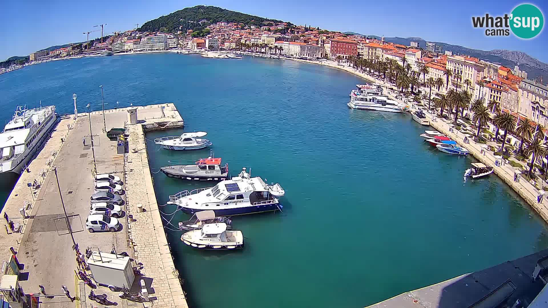 Split panorama en vivo