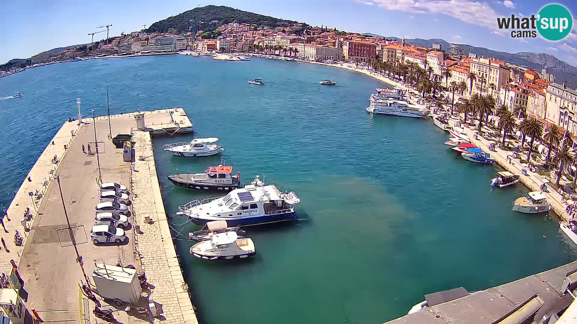 Split livecam panorama
